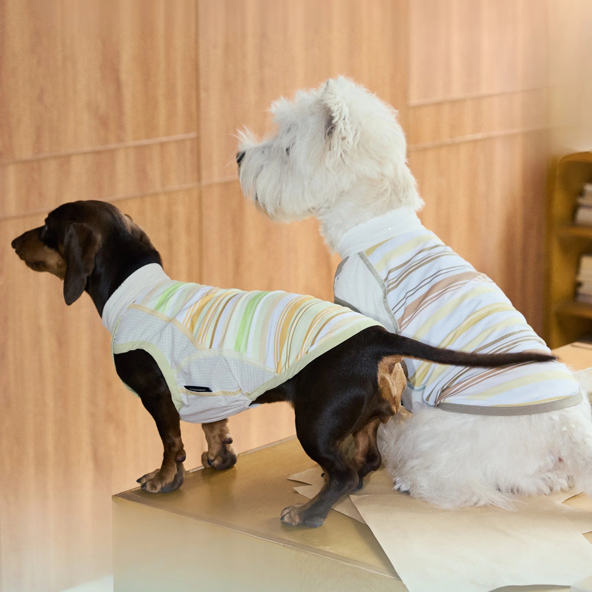 Cooling Striped Thin Tank Top for Dachshunds Summer Sun Protection