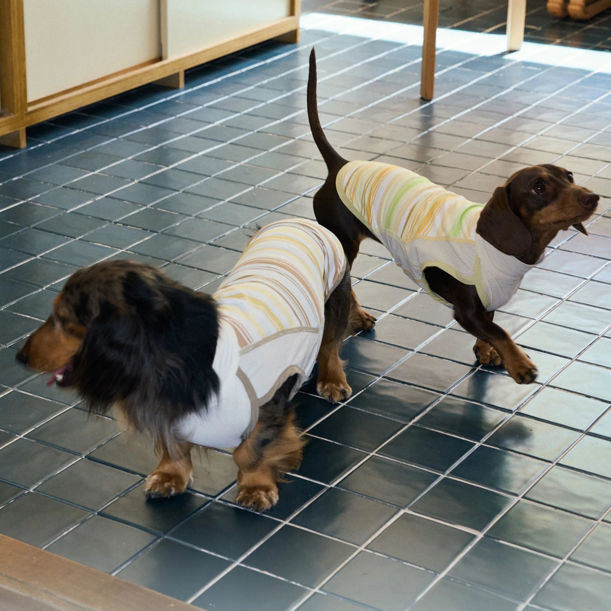 Cooling Striped Thin Tank Top for Dachshunds Summer Sun Protection