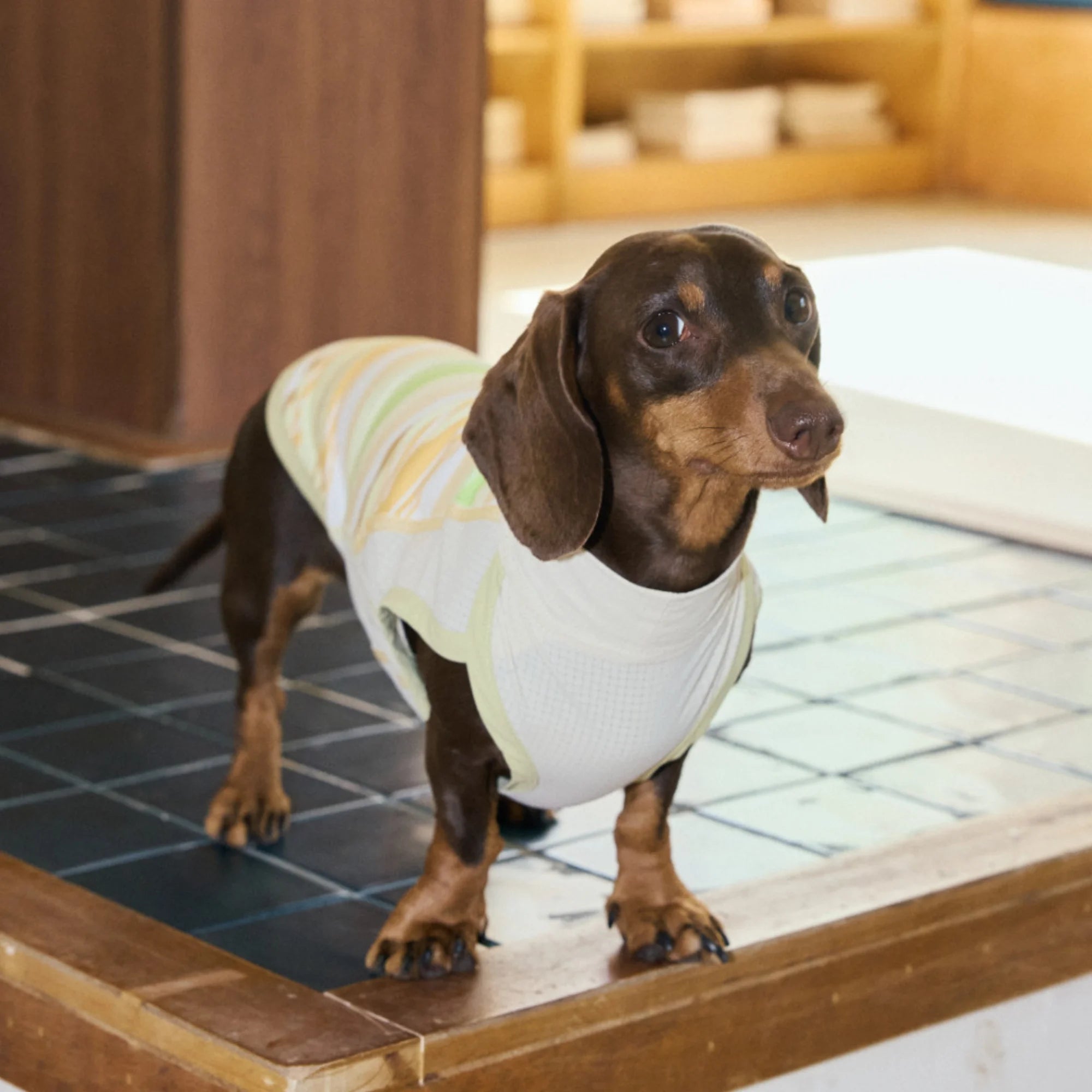 Cooling Striped Thin Tank Top for Dachshunds Summer Sun Protection