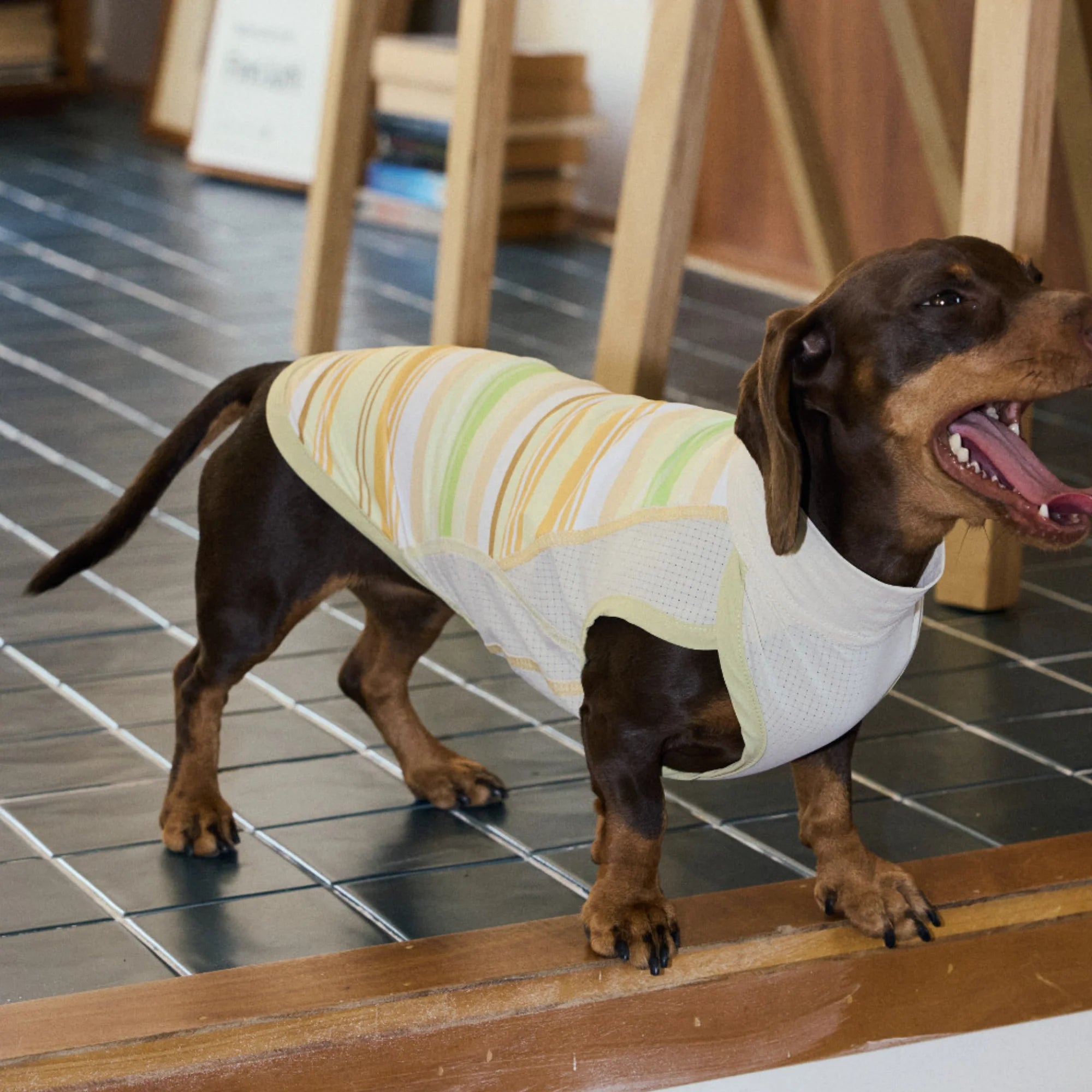 Cooling Striped Thin Tank Top for Dachshunds Summer Sun Protection