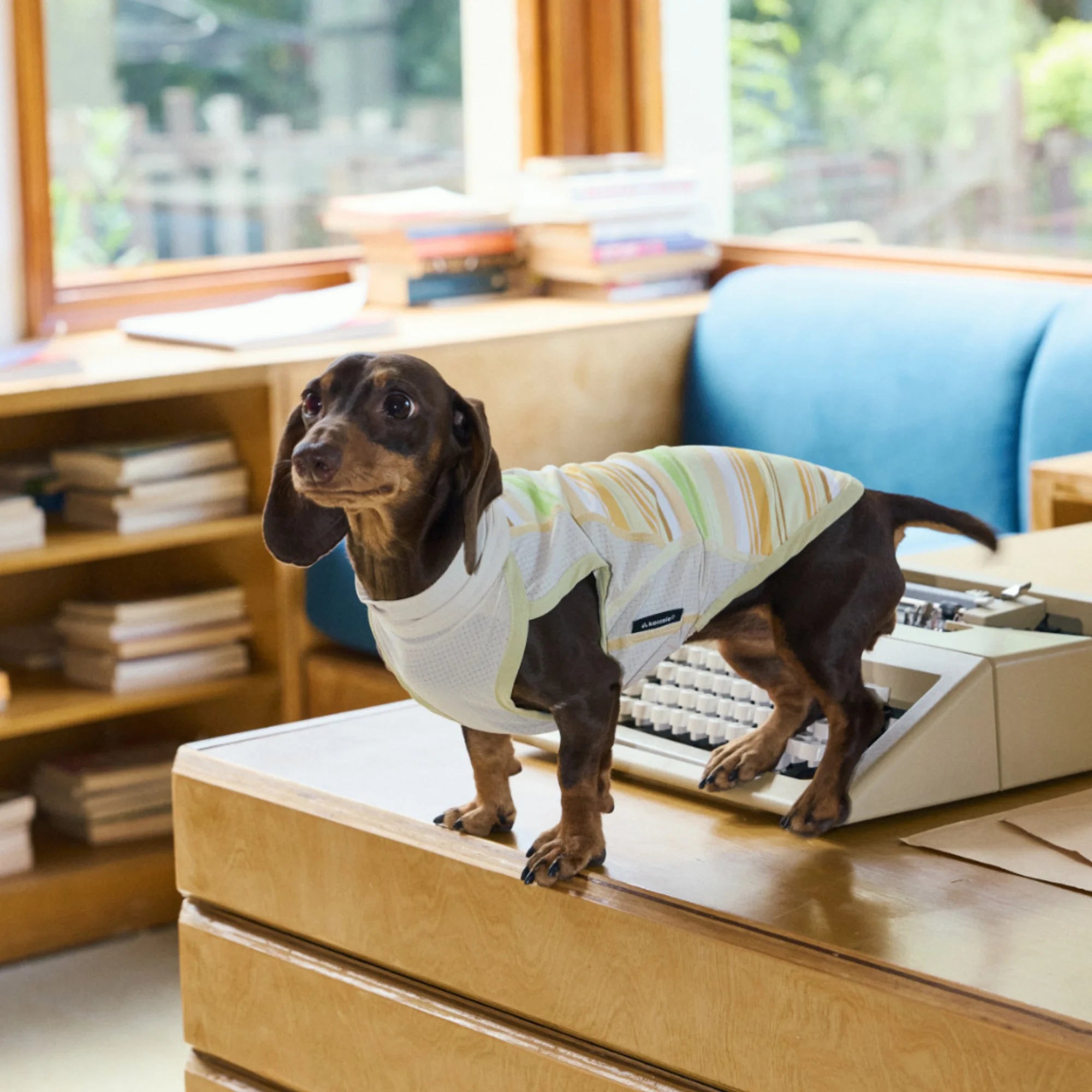 Cooling Striped Thin Tank Top for Dachshunds Summer Sun Protection