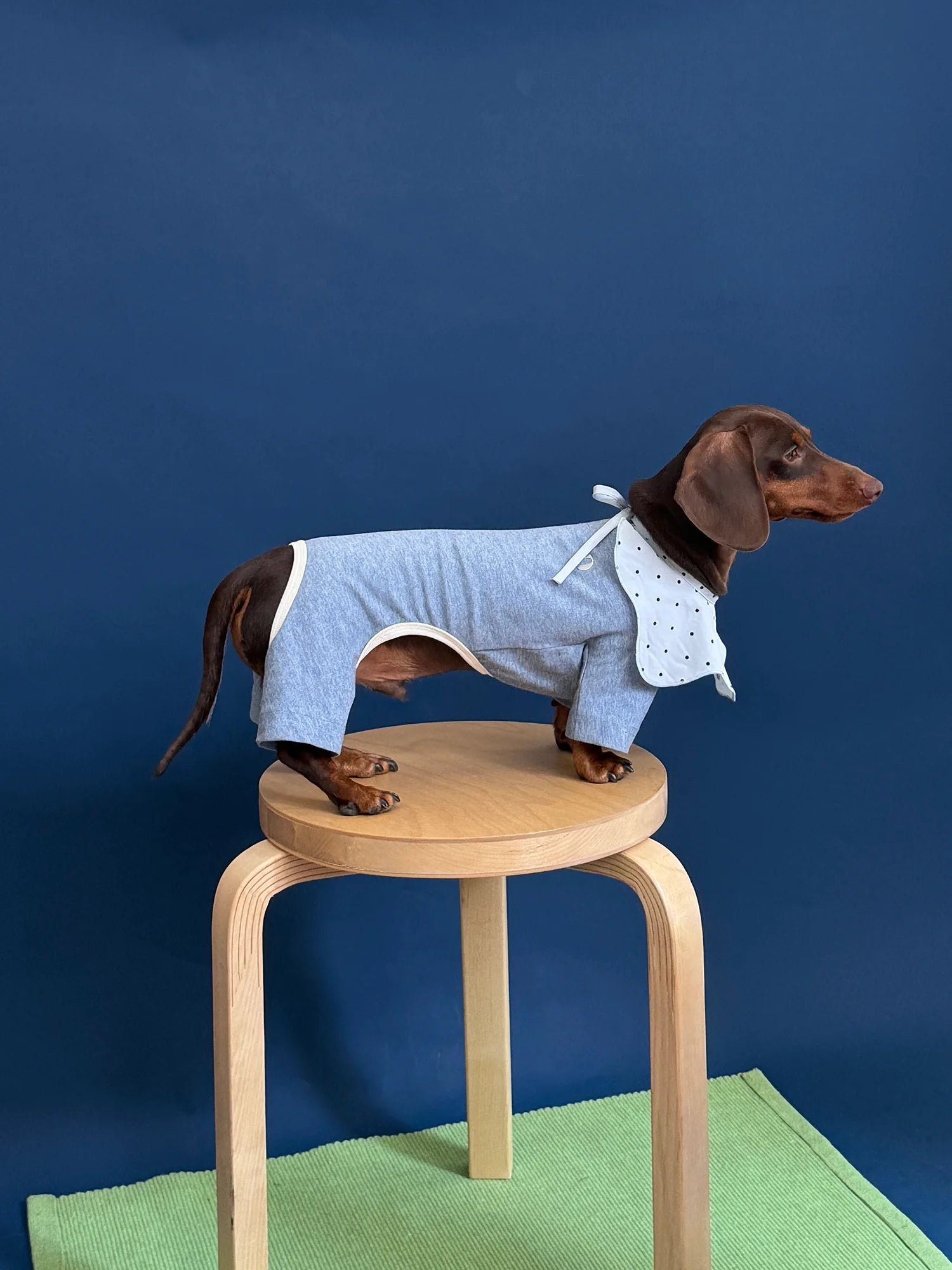 Cotton Basic Solid Color Onesies for Dachshunds