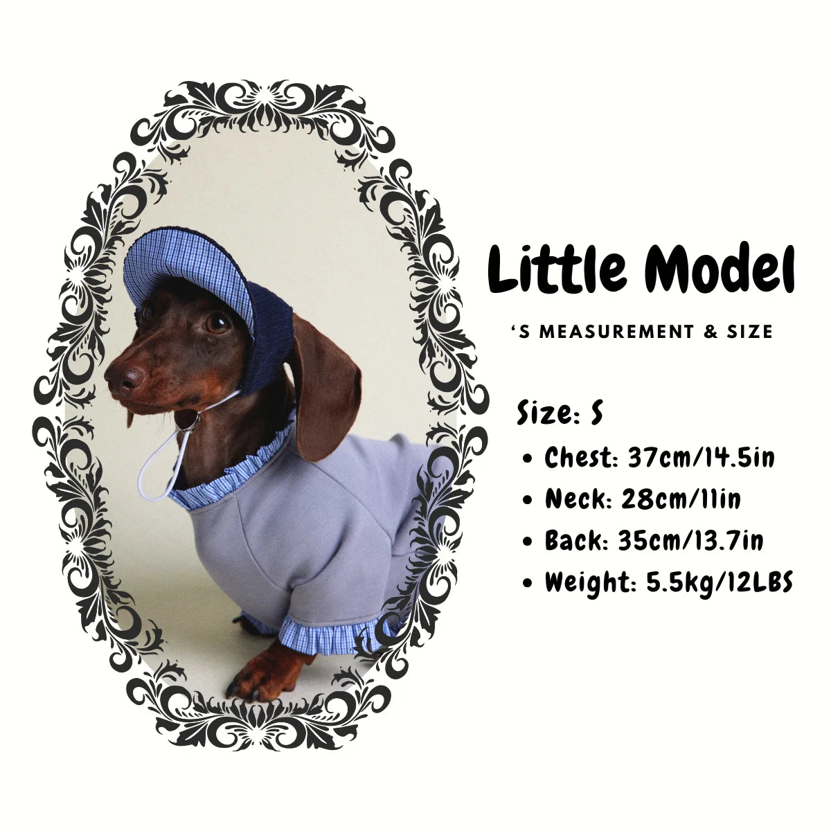 Dachshund Autumn & Winter Gray-Blue Plaid Layered Sweatshirt - Model size