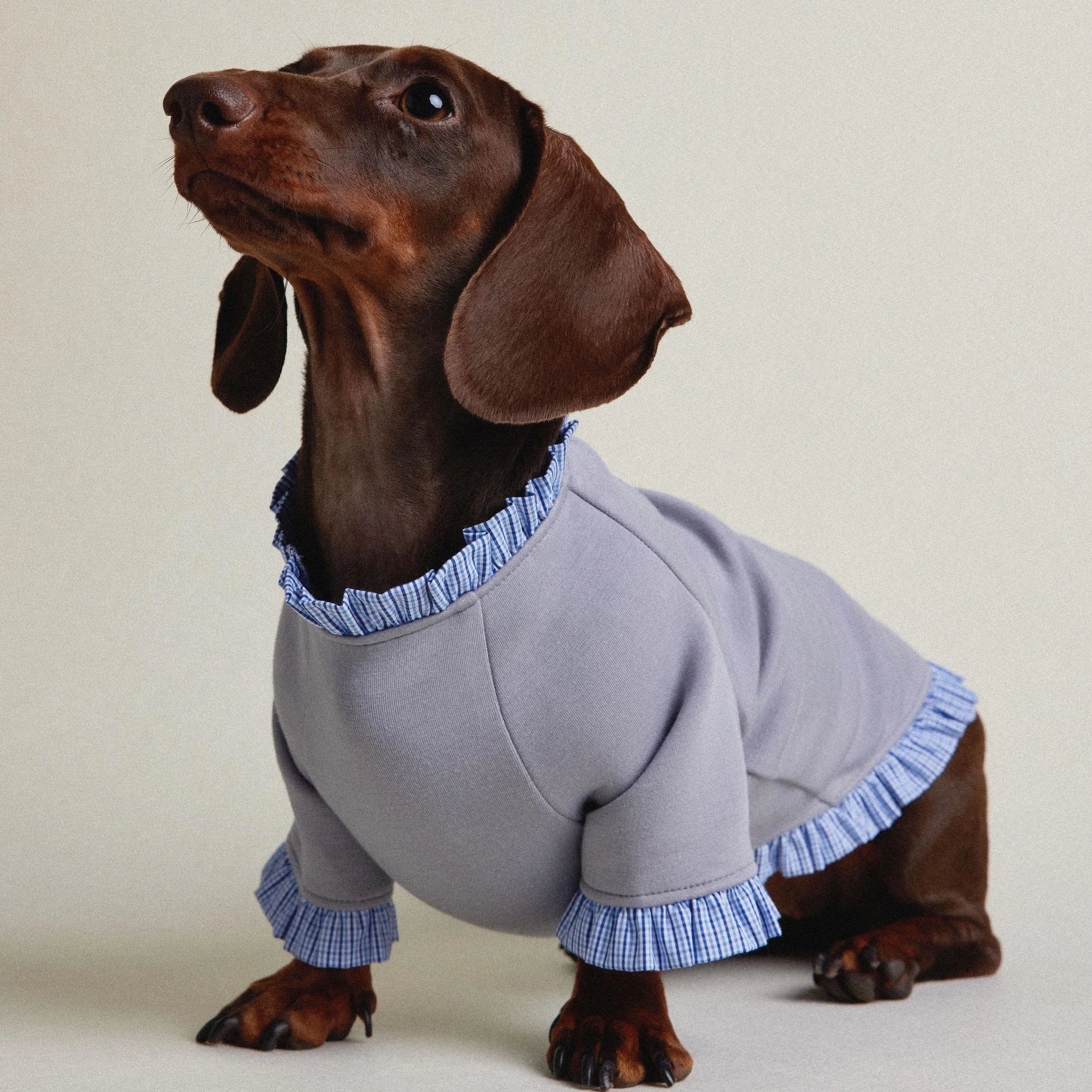 Dachshund Autumn & Winter Gray-Blue Plaid Layered Sweatshirt