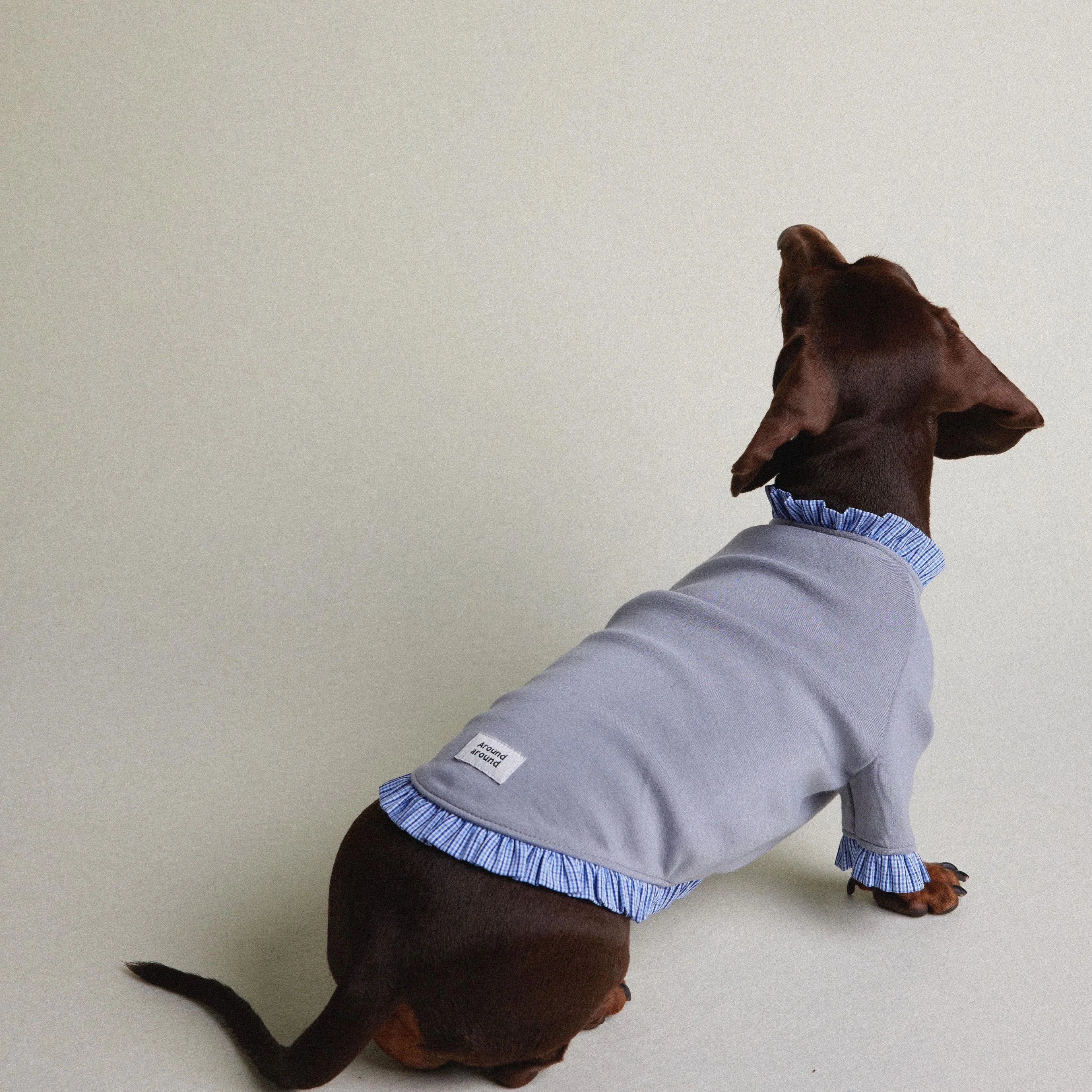 Dachshund Autumn & Winter Gray-Blue Plaid Layered Sweatshirt