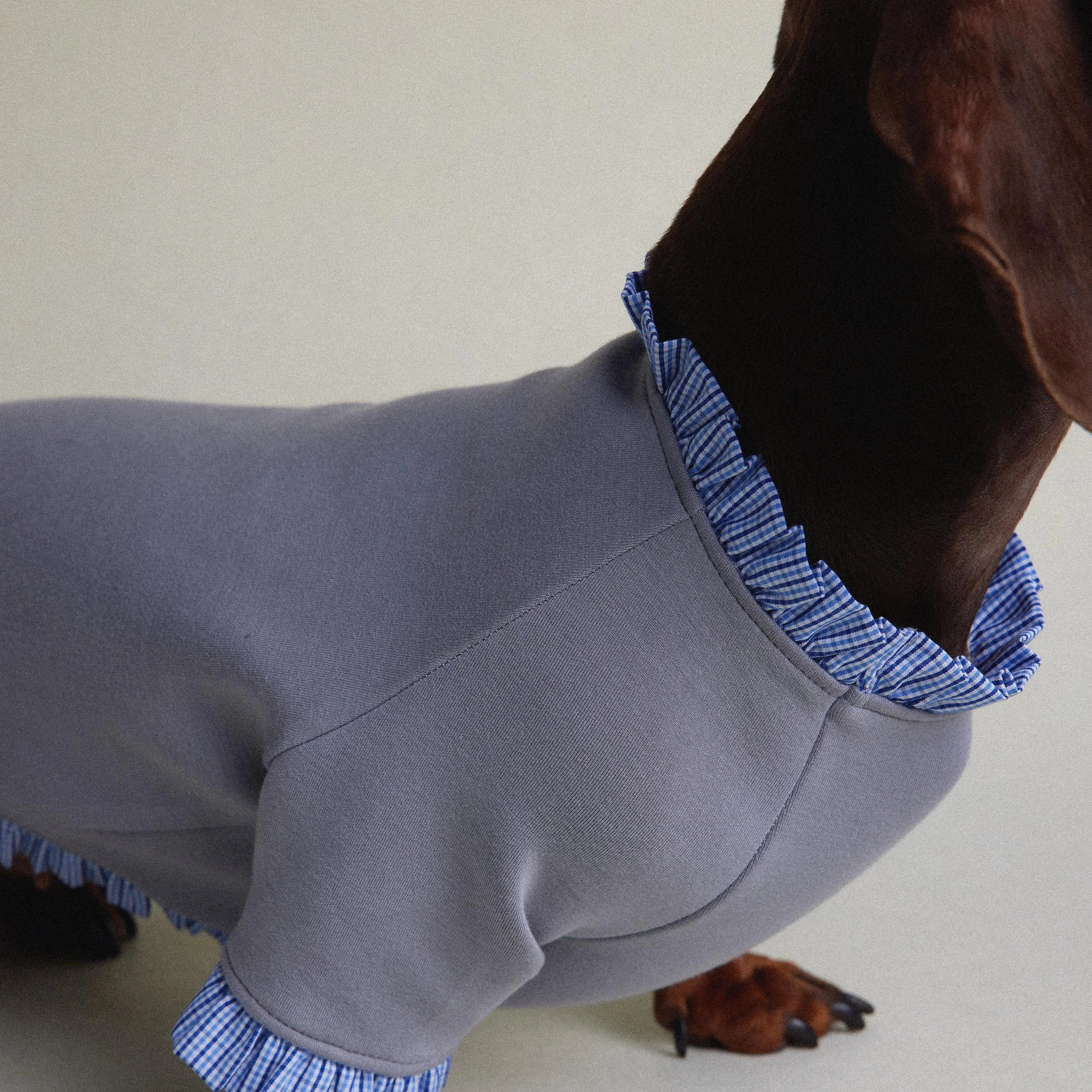 Dachshund Autumn & Winter Gray-Blue Plaid Layered Sweatshirt
