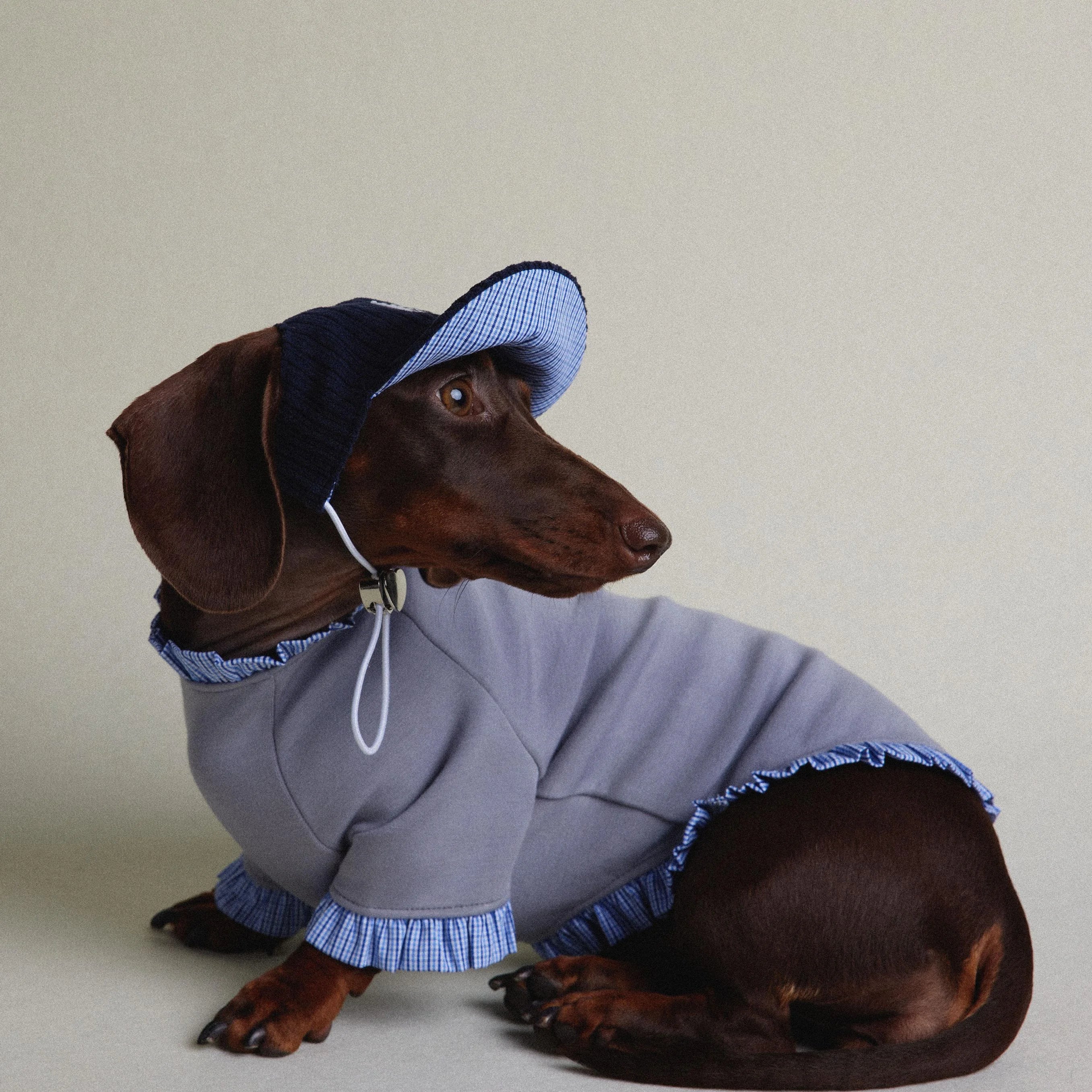Dachshund Autumn & Winter Gray-Blue Plaid Layered Sweatshirt