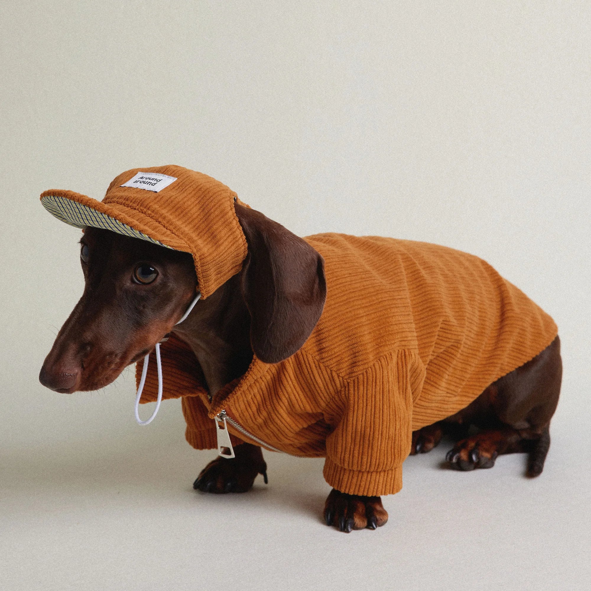 Dachshund Autumn & Winter Maillard Double-Layer Jacket - Cap+jacket