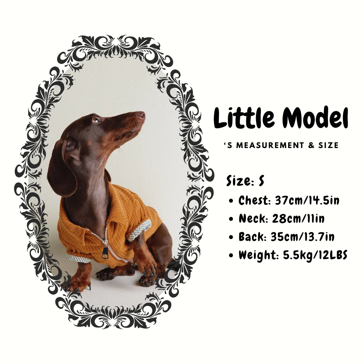 Dachshund Autumn & Winter Maillard Double-Layer Jacket - Model size