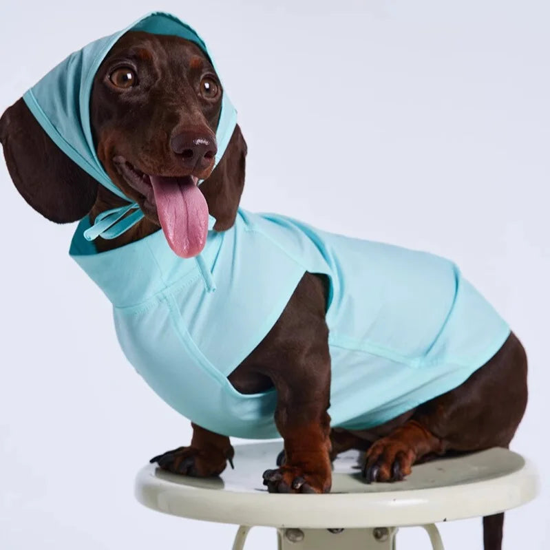 Wienerd Dachshund Summer Lightweight Breathable Sun-Proof Set - Blue set