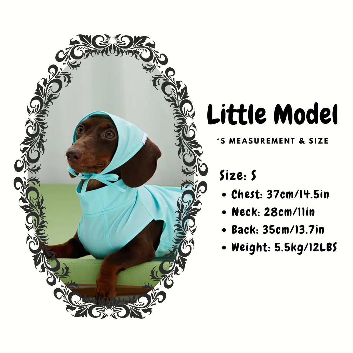 Dachshund Summer Lightweight Breathable Sun-Proof Set - Model size