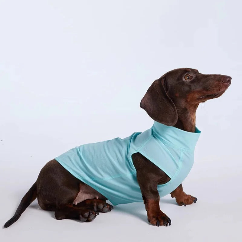 Wienerd Dachshund Summer Lightweight Breathable Sun-Proof Set