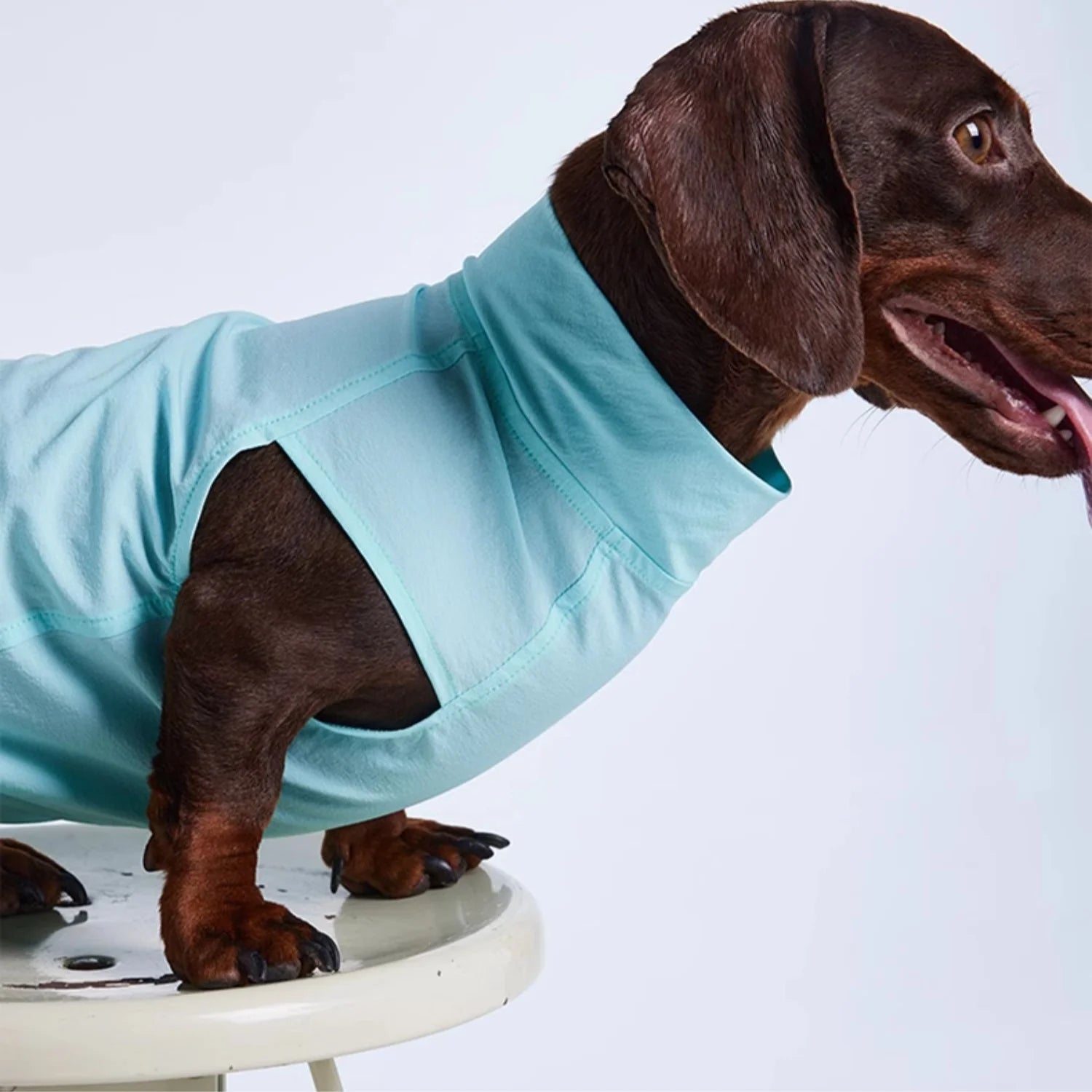 Wienerd Dachshund Summer Lightweight Breathable Sun-Proof Set