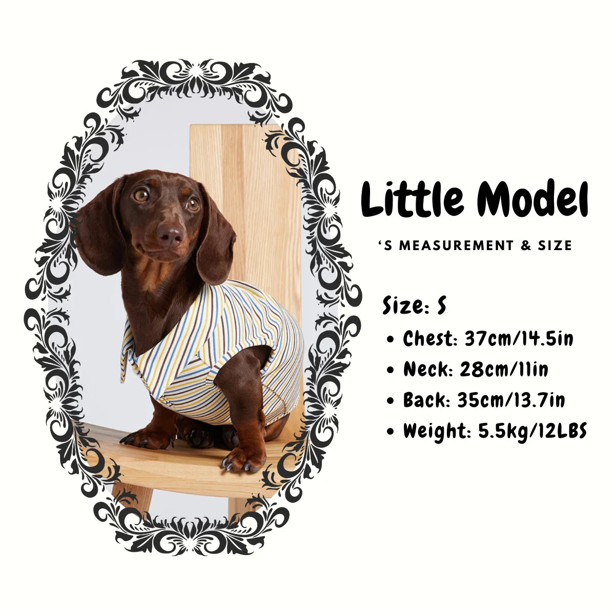 Dachshund Summer Retro Color-Block Striped Polo Shirt - Model size