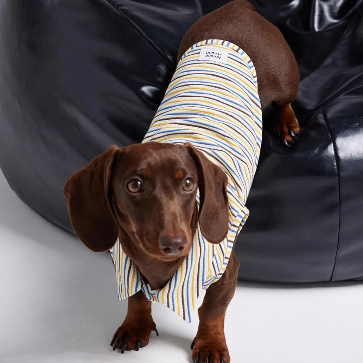 Dachshund Summer Retro Color-Block Striped Polo Shirt