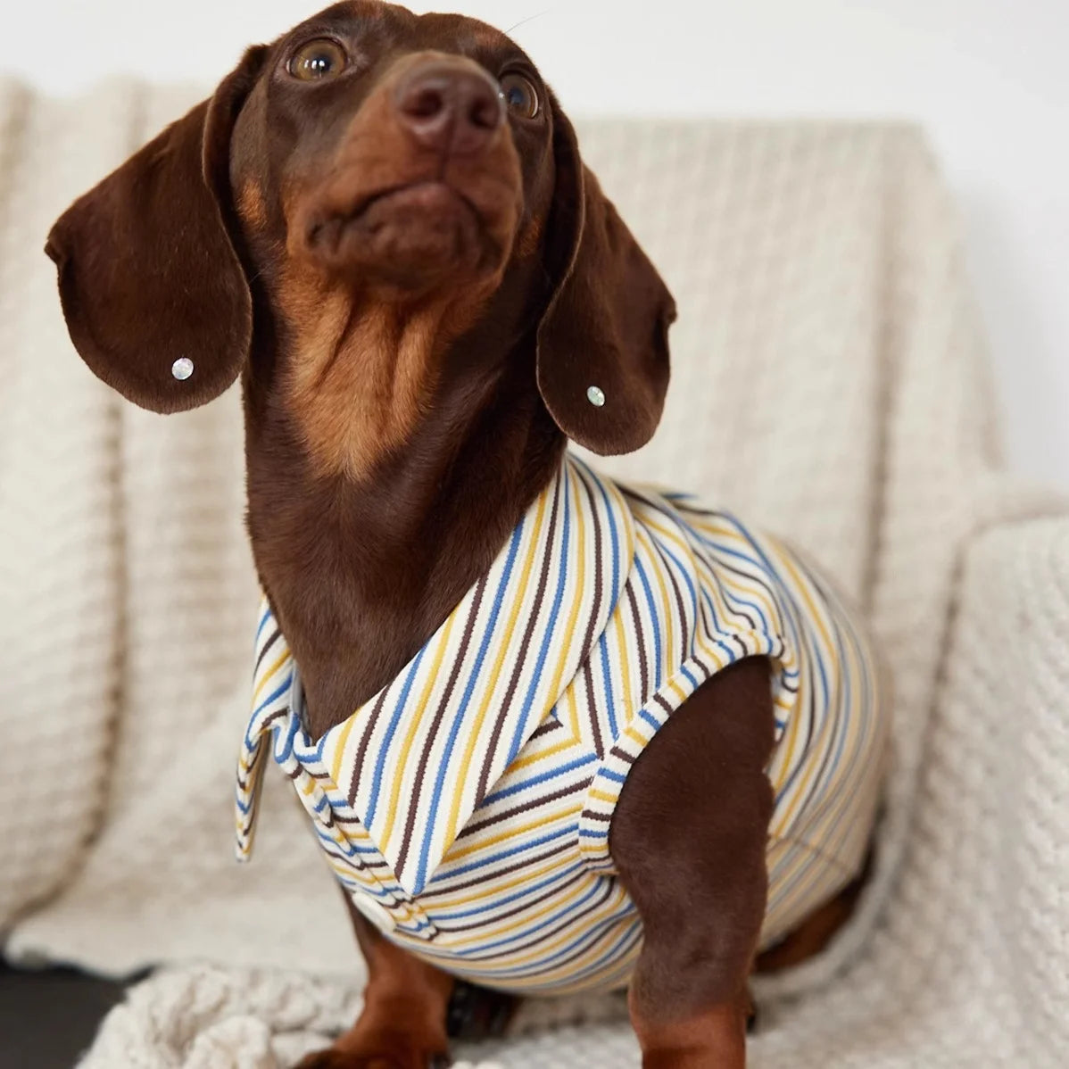 Dachshund Summer Retro Color-Block Striped Polo Shirt