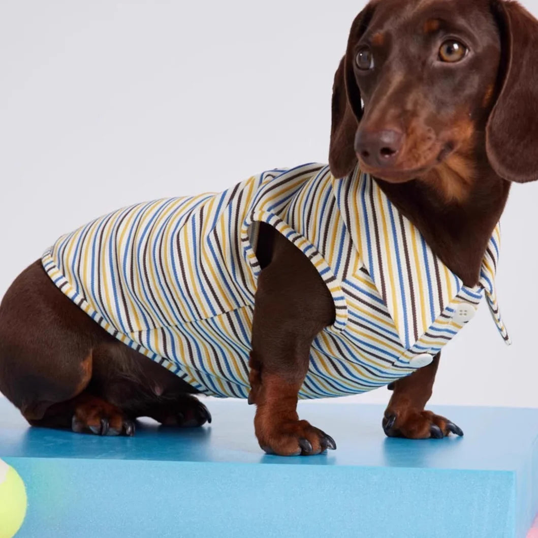 Dachshund Summer Retro Color-Block Striped Polo Shirt