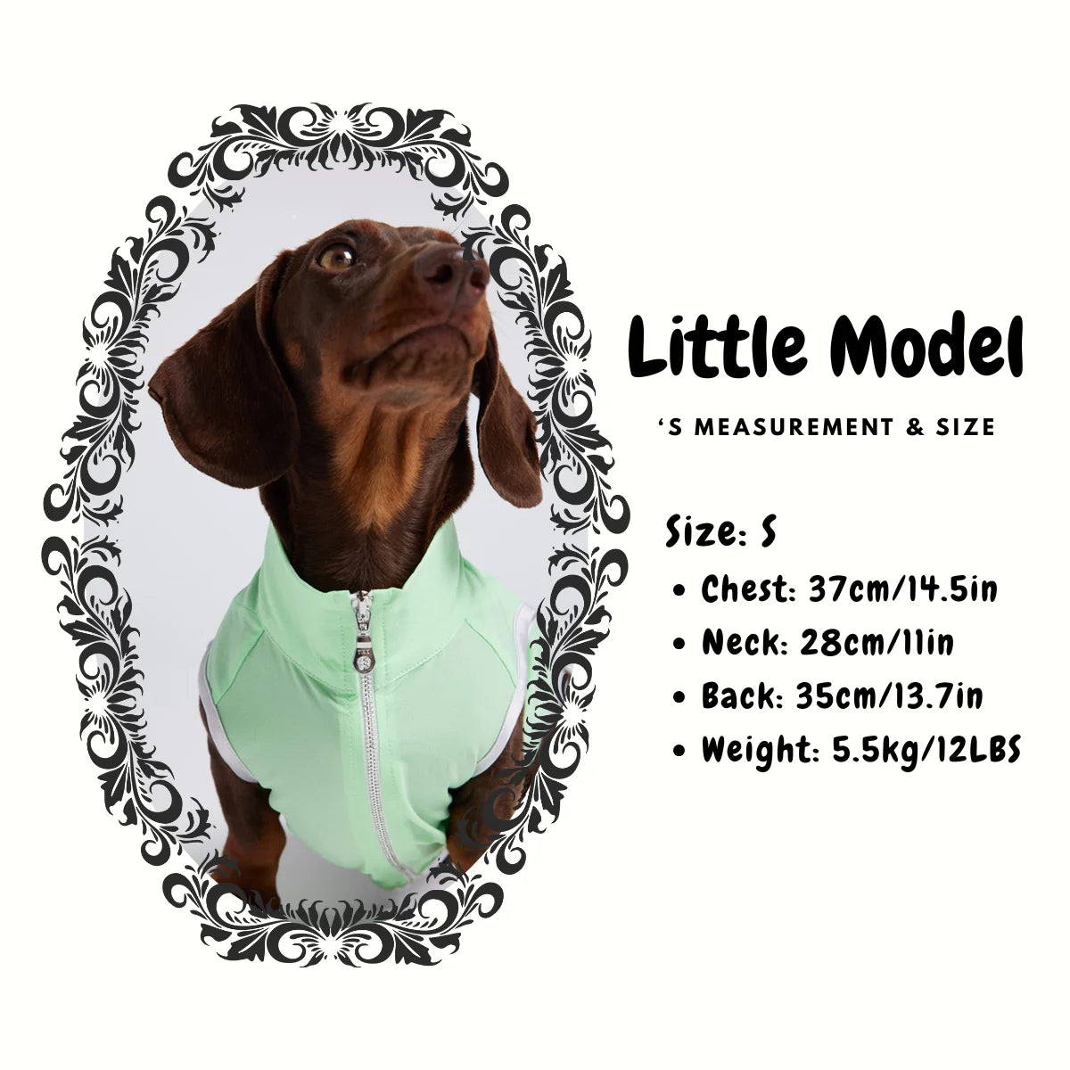 Dachshund Summer Sun Protection Jacket – Mint Green - Model size