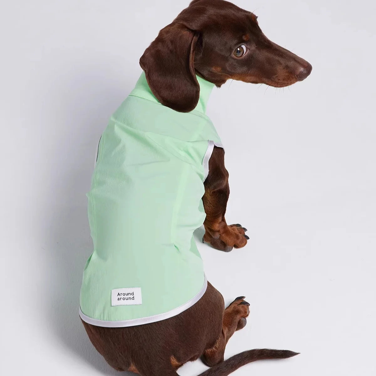 Dachshund Summer Sun Protection Jacket – Mint Green