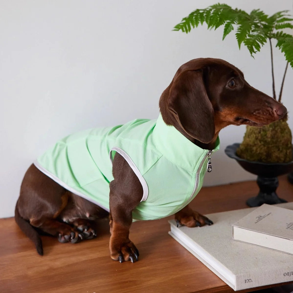 Dachshund Summer Sun Protection Jacket – Mint Green