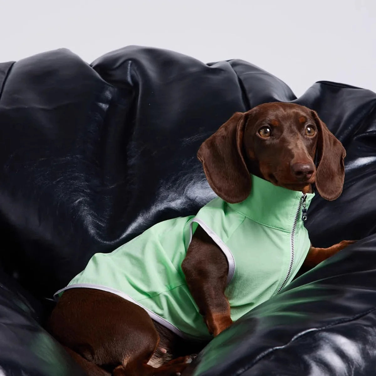 Dachshund Summer Sun Protection Jacket – Mint Green