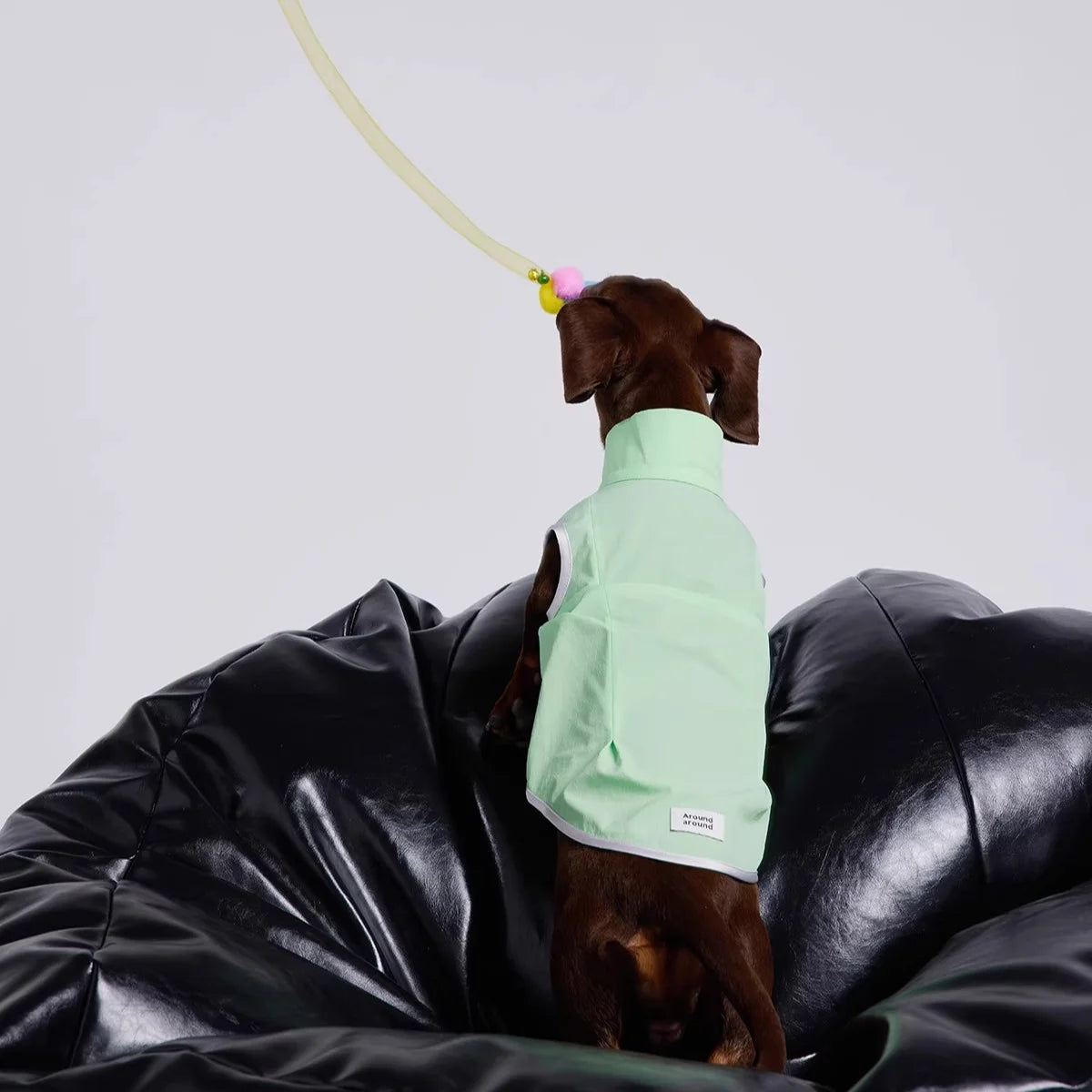 Dachshund Summer Sun Protection Jacket – Mint Green