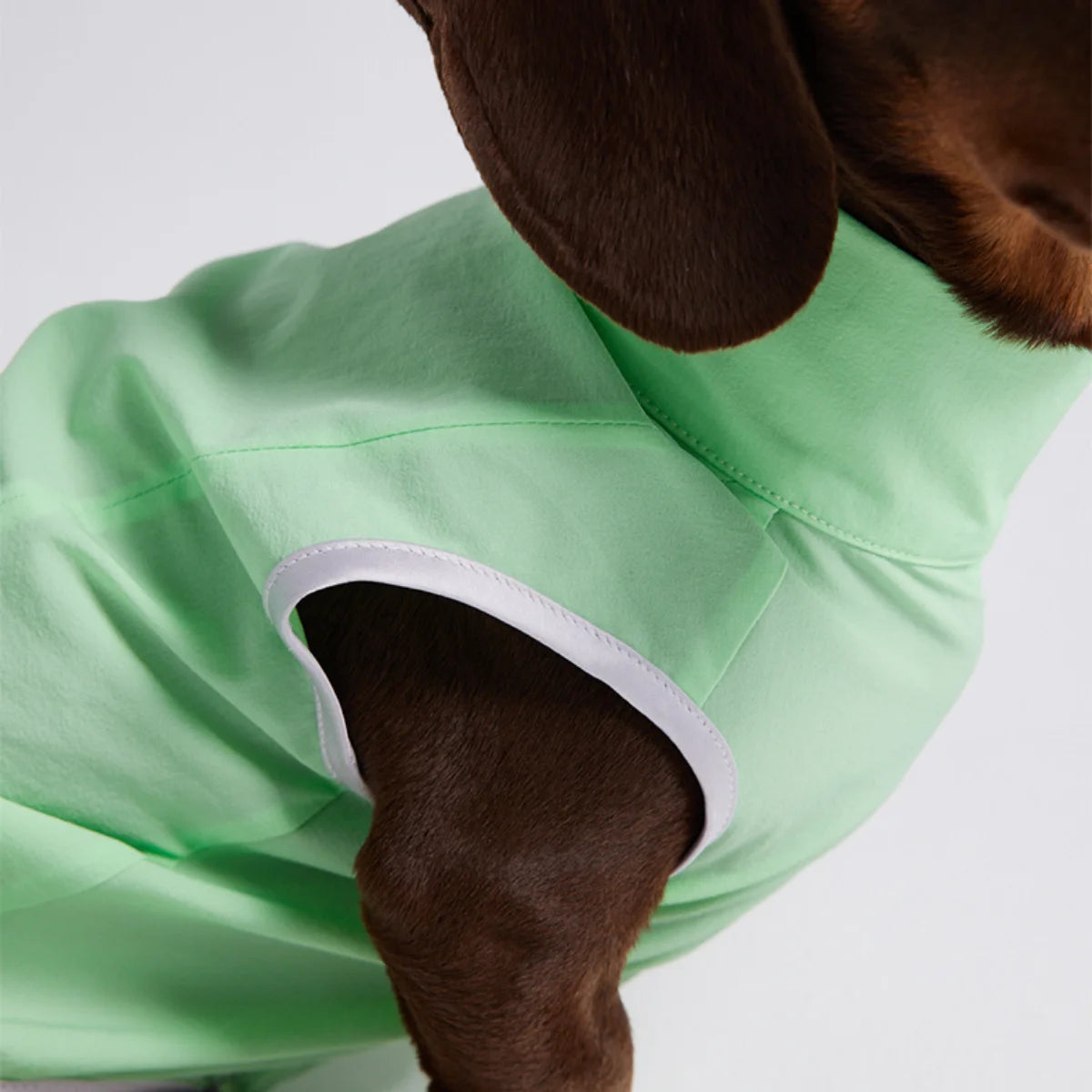 Dachshund Summer Sun Protection Jacket – Mint Green