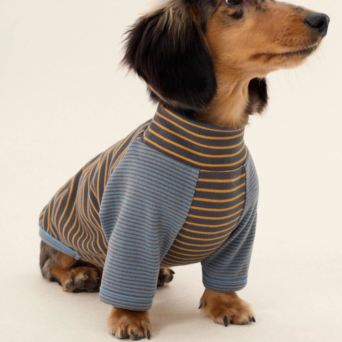 Dralon Striped Bottoming Shirt for Dachshund
