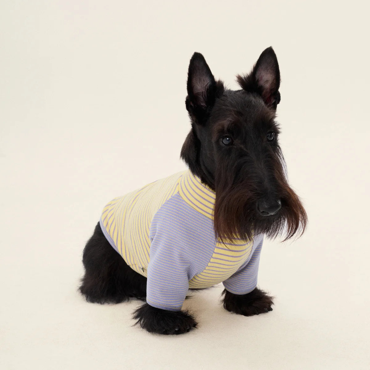 Dralon Striped Bottoming Shirt for Dachshund