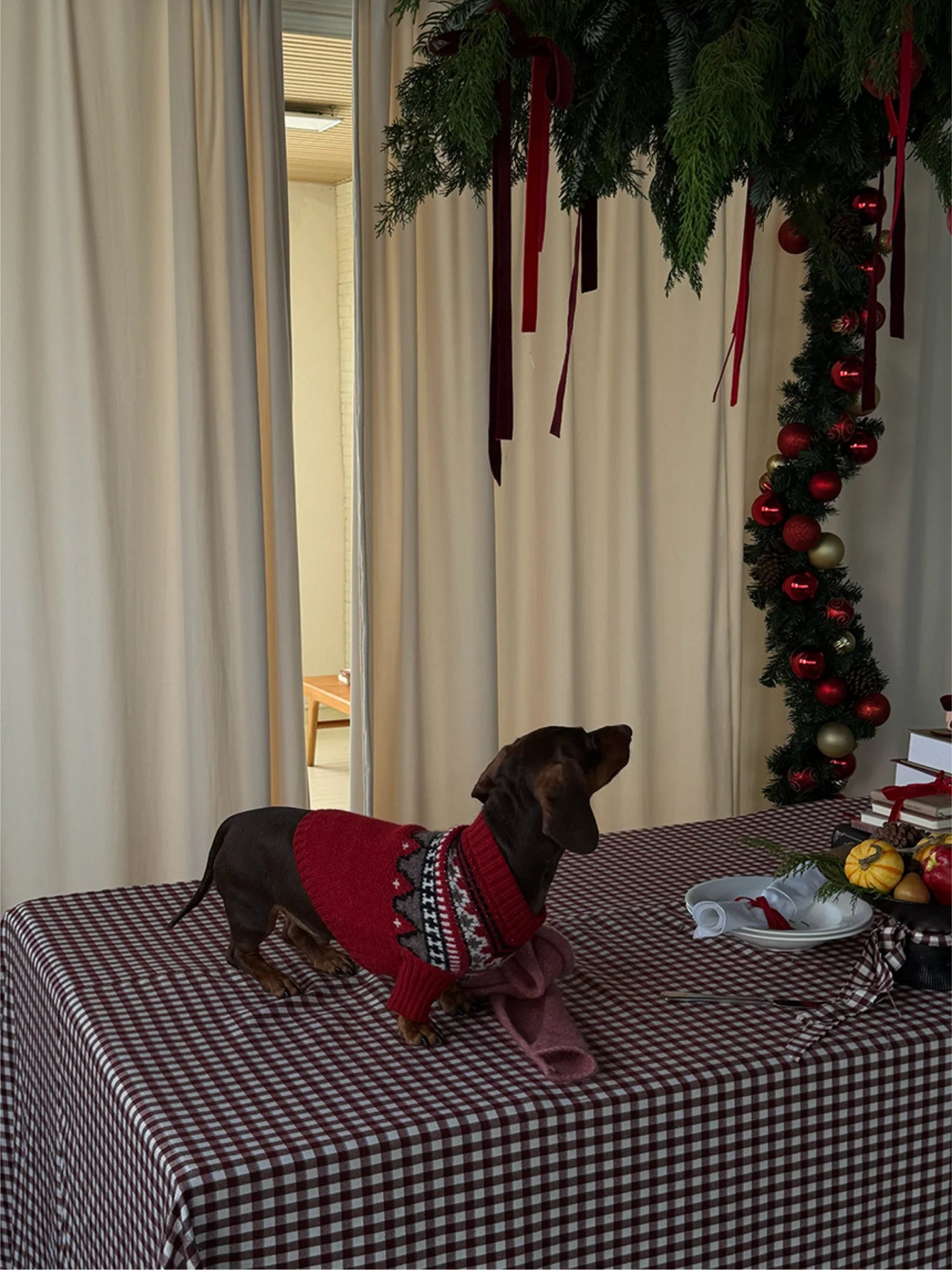 Fair Isle Winter Sweater for Dachshunds & Schnauzers