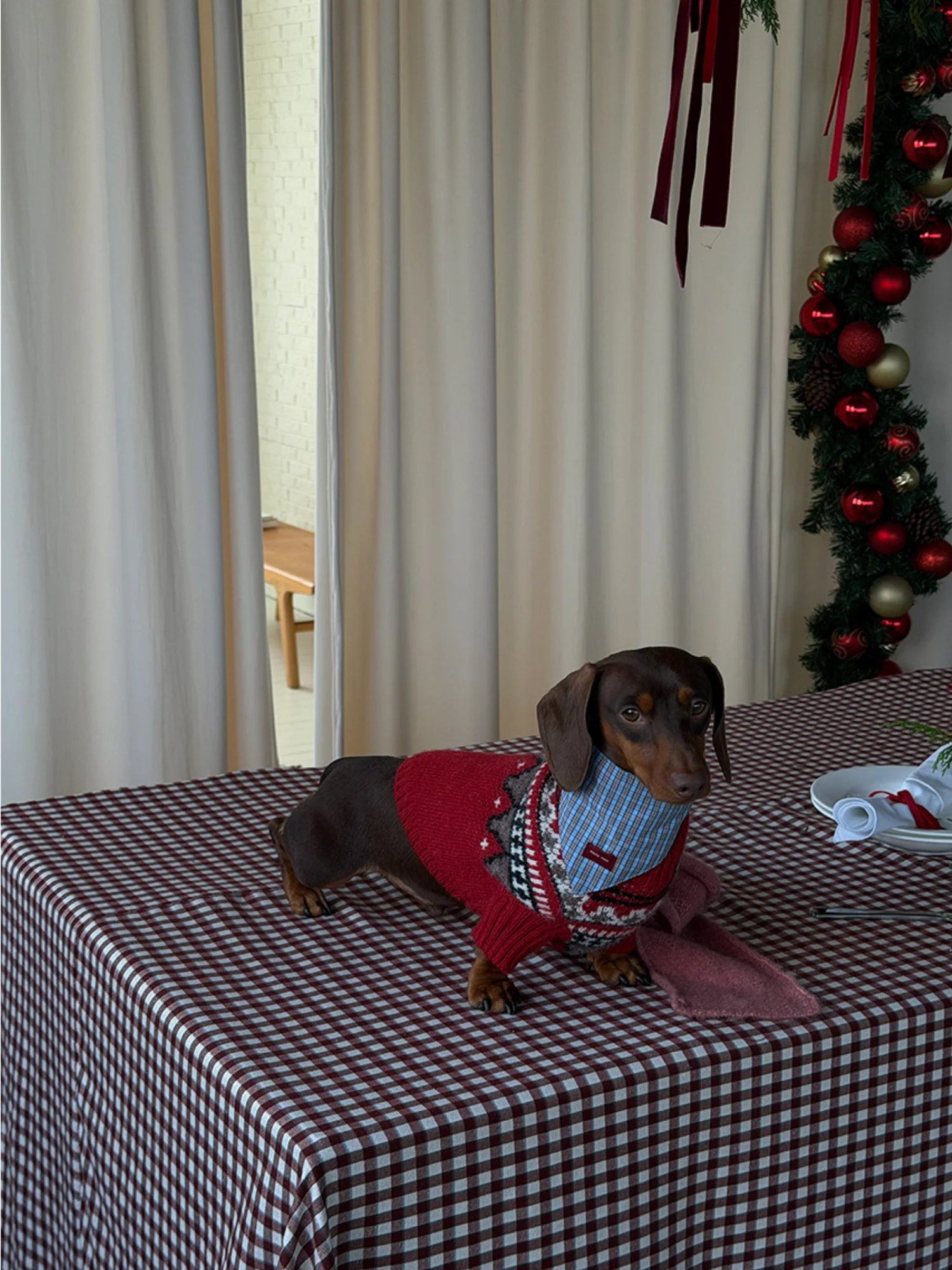 Fair Isle Winter Sweater for Dachshunds & Schnauzers
