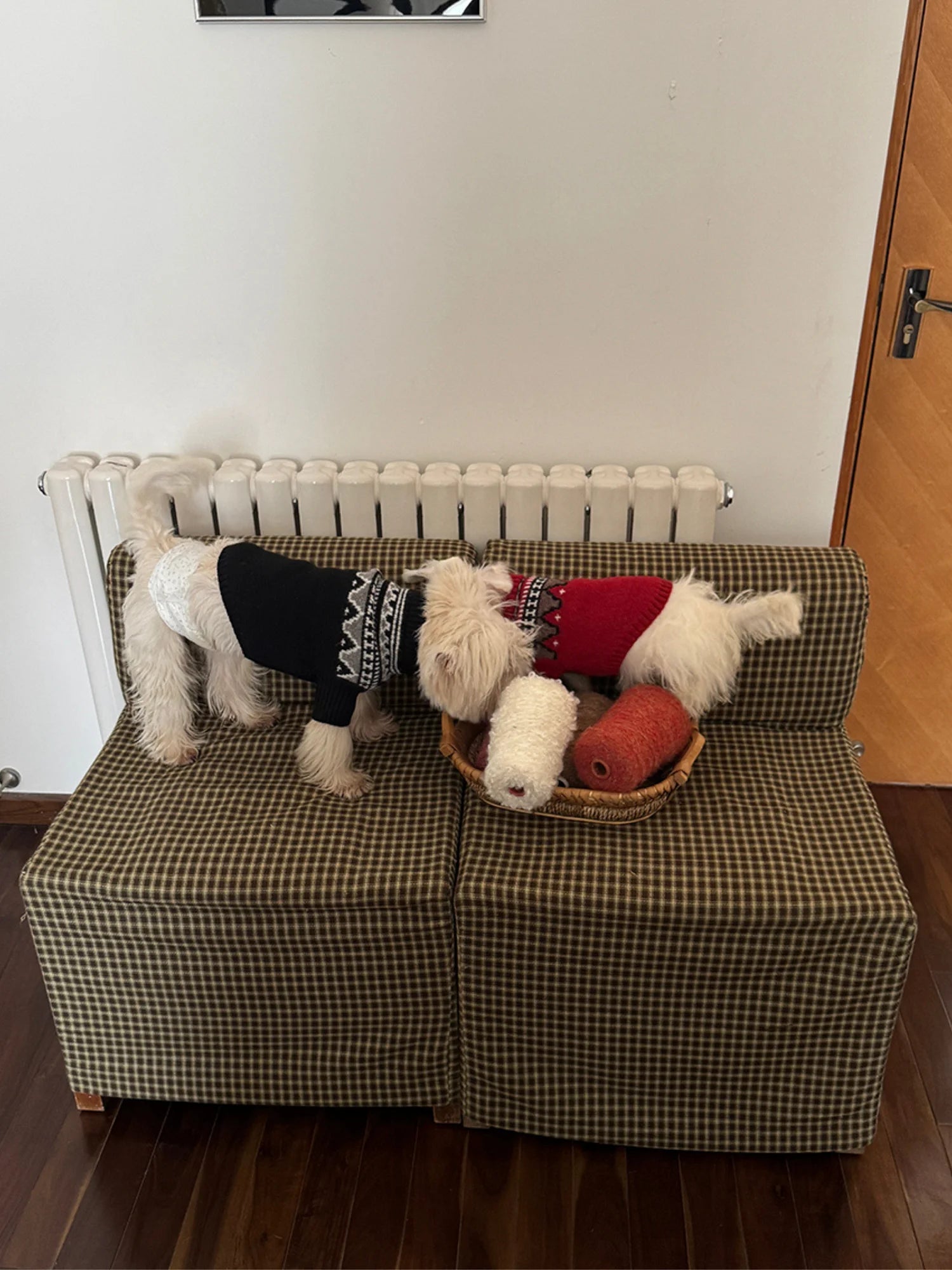 Fair Isle Winter Sweater for Dachshunds & Schnauzers