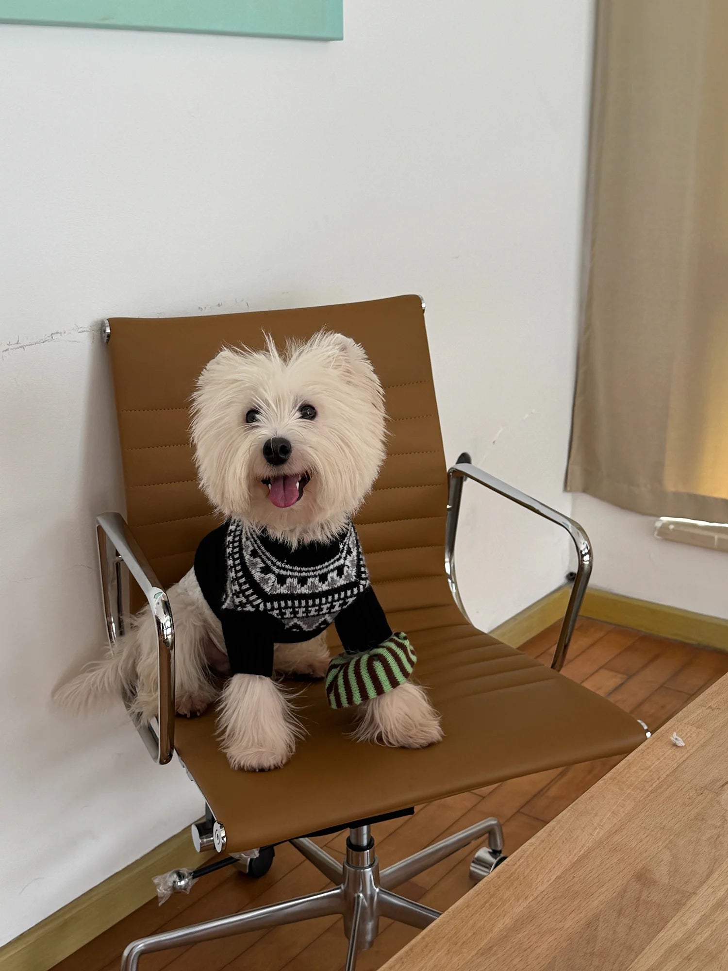 Fair Isle Winter Sweater for Dachshunds & Schnauzers