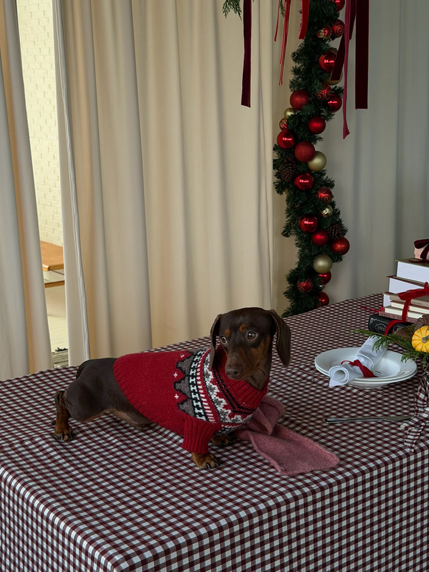 Fair Isle Winter Sweater for Dachshunds & Schnauzers