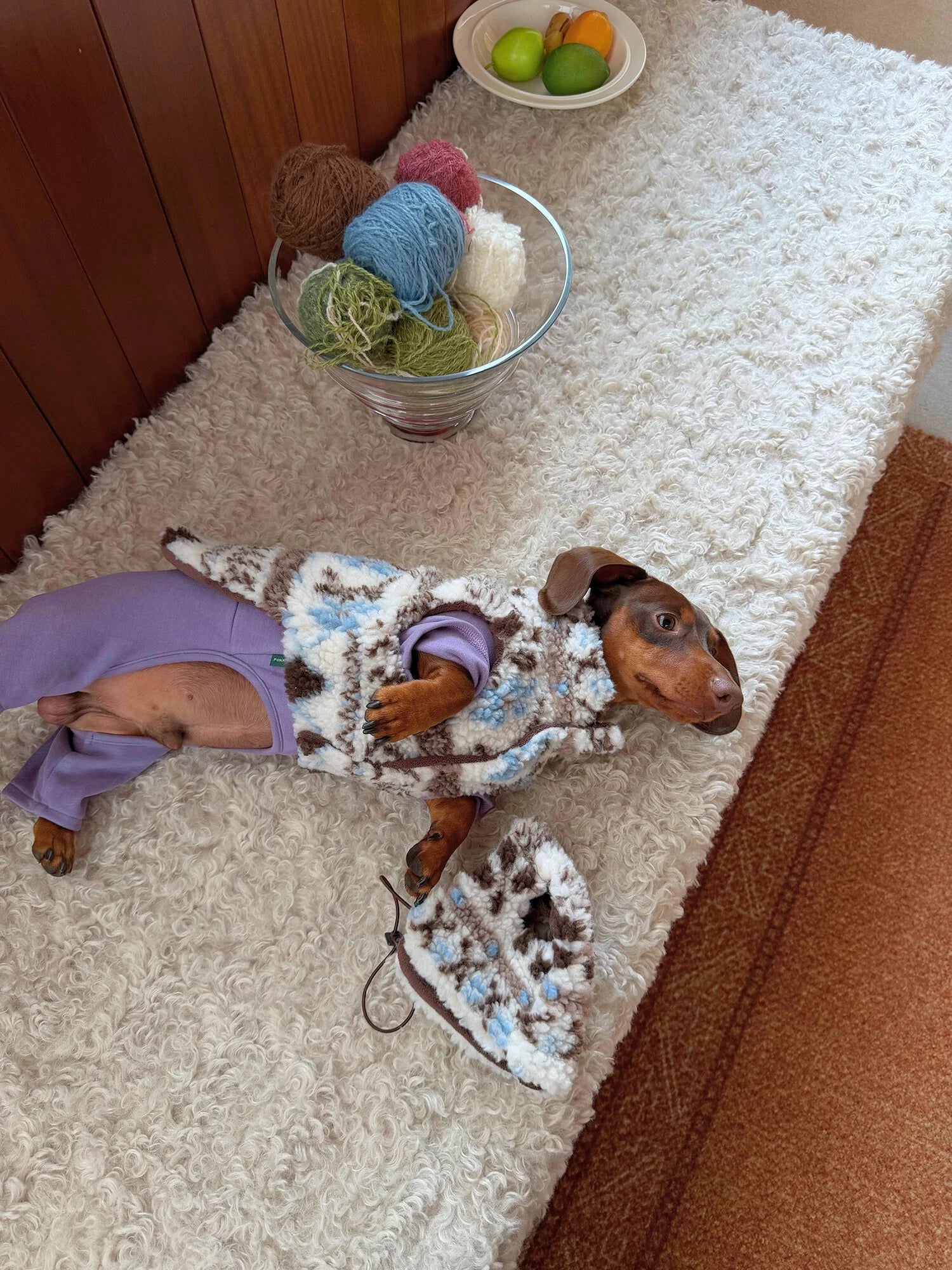 Fair Isle Winter Vest for Dachshunds