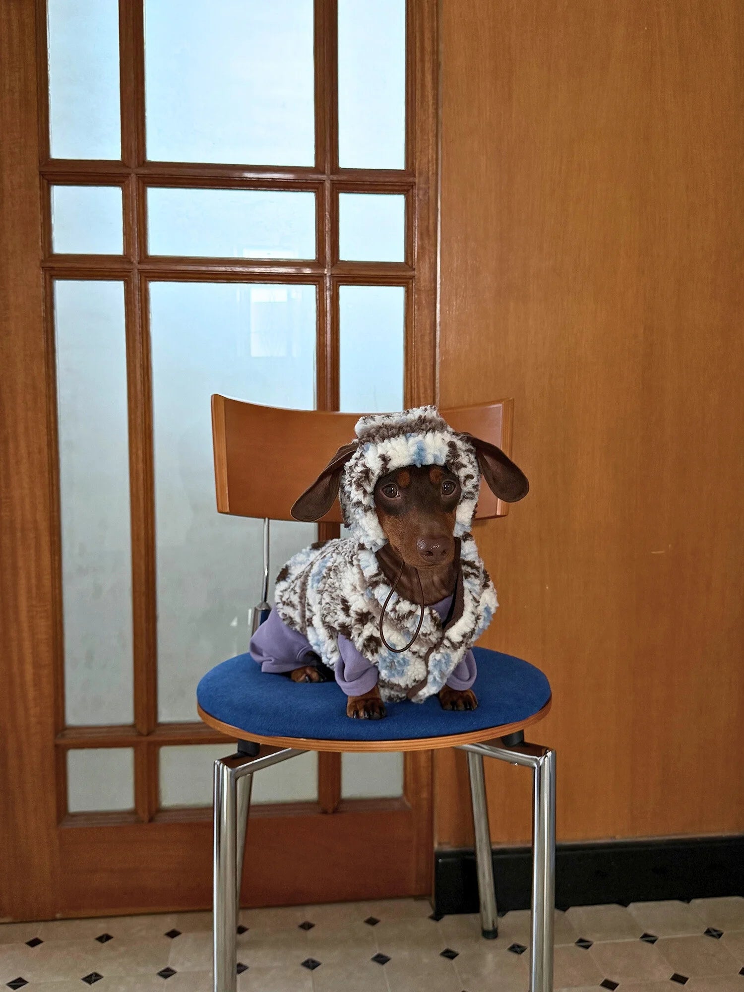 Fair Isle Winter Vest for Dachshunds