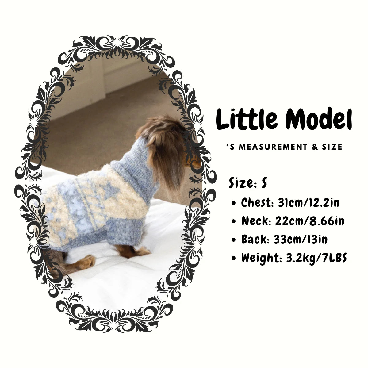 Fair Isle Wool Turtleneck Sweater for Dachshunds - Model size