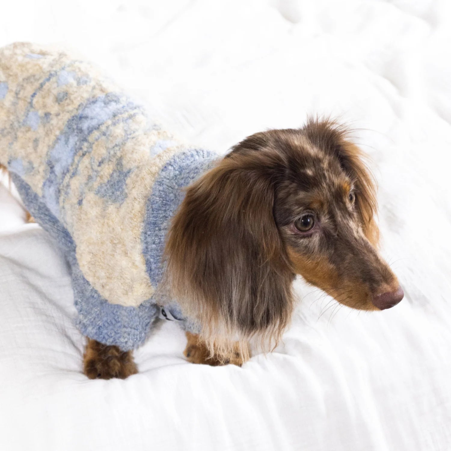 Fair Isle Wool Turtleneck Sweater for Dachshunds