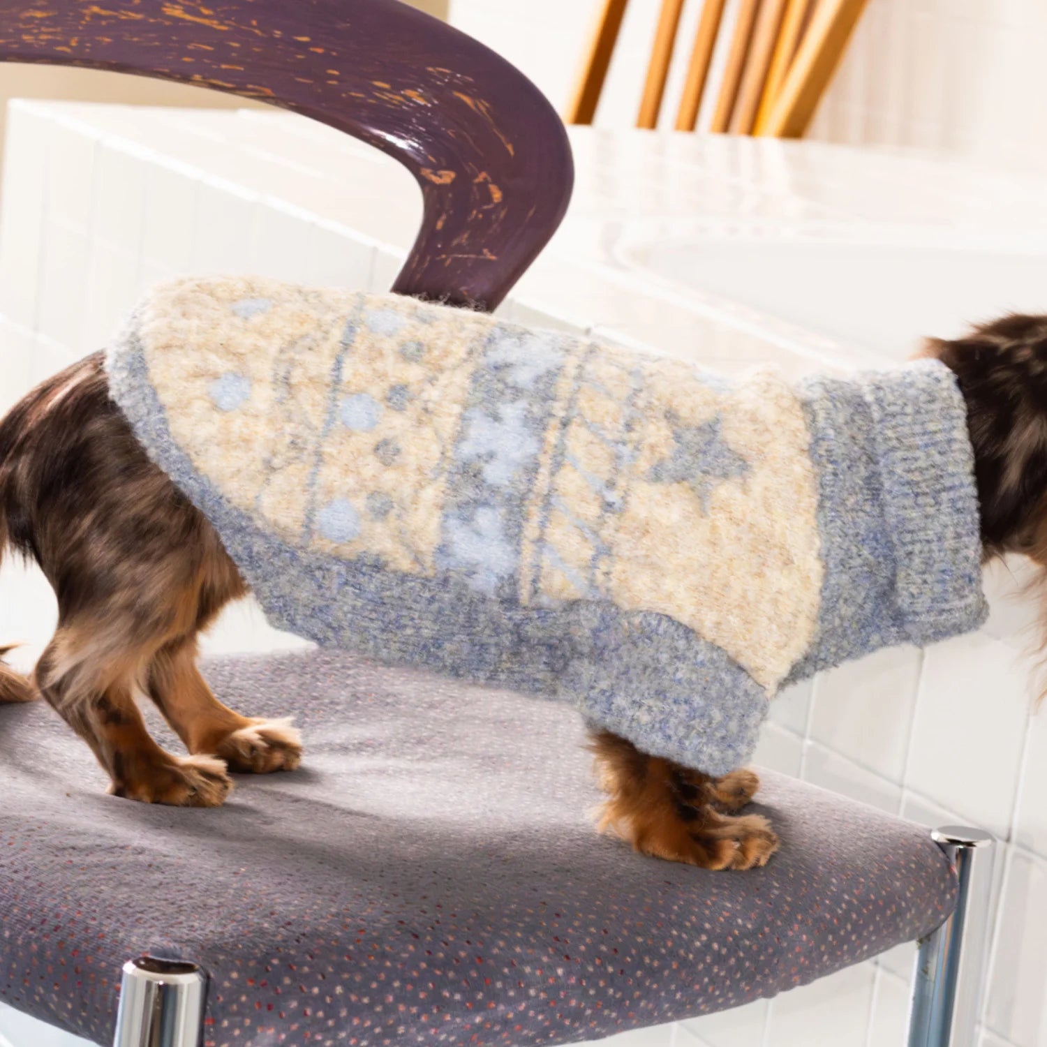 Fair Isle Wool Turtleneck Sweater for Dachshunds