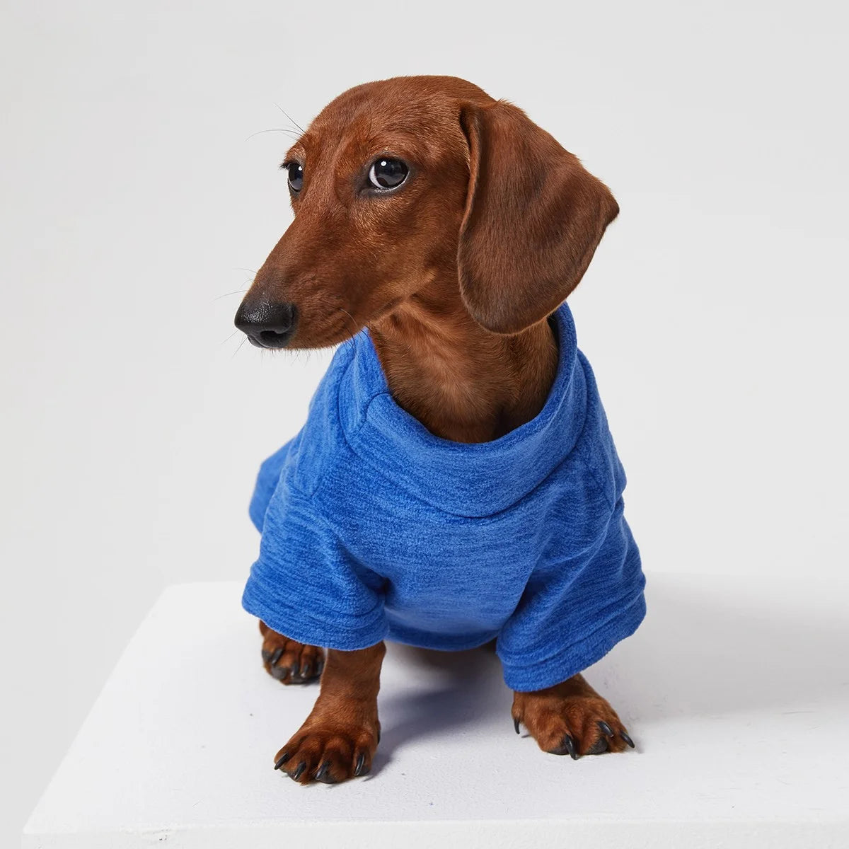Fleece-Lined Solid Color T-Shirt for Dachshund