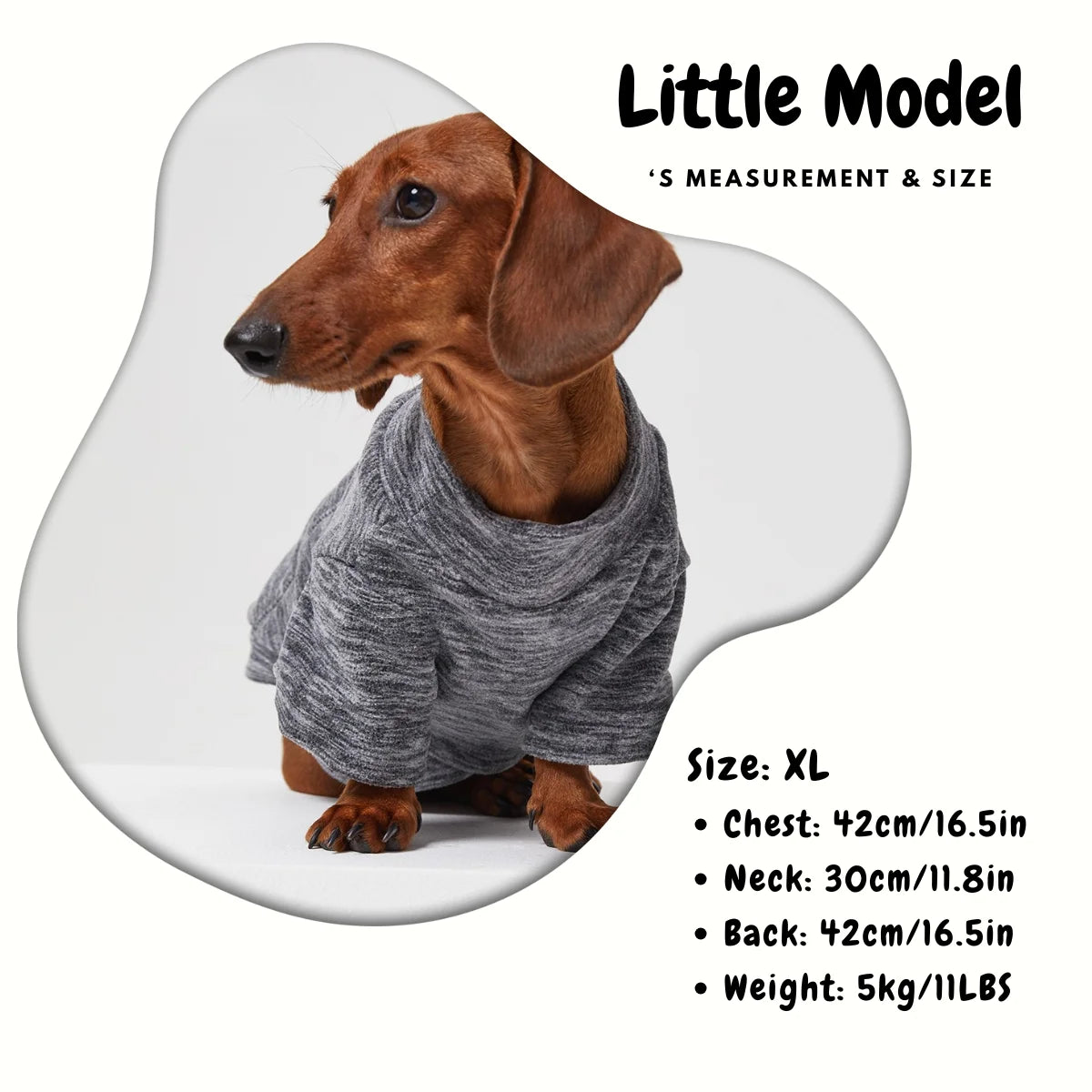 Fleece-Lined Solid Color T-Shirt for Dachshund