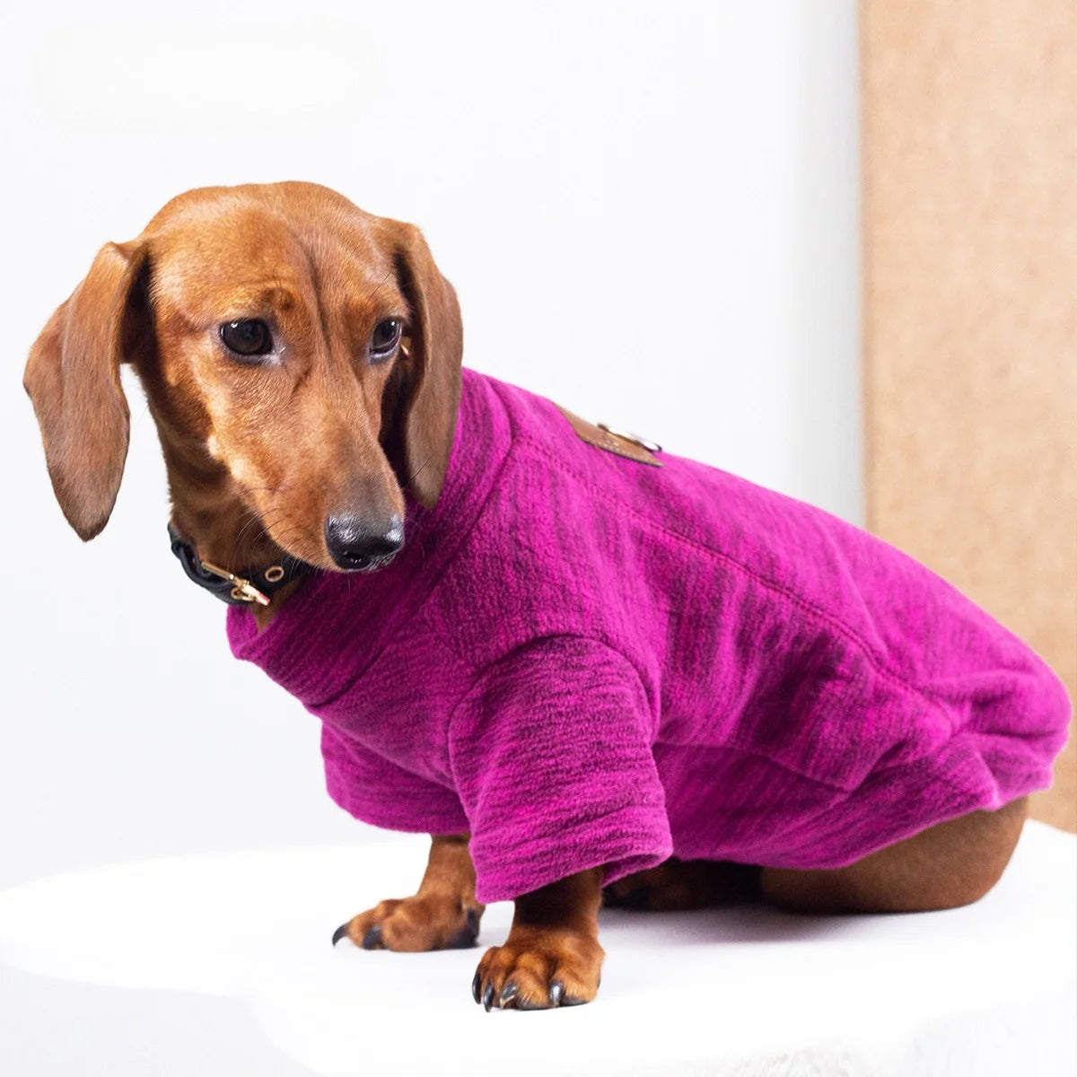 Fleece-Lined Solid Color T-Shirt for Dachshund