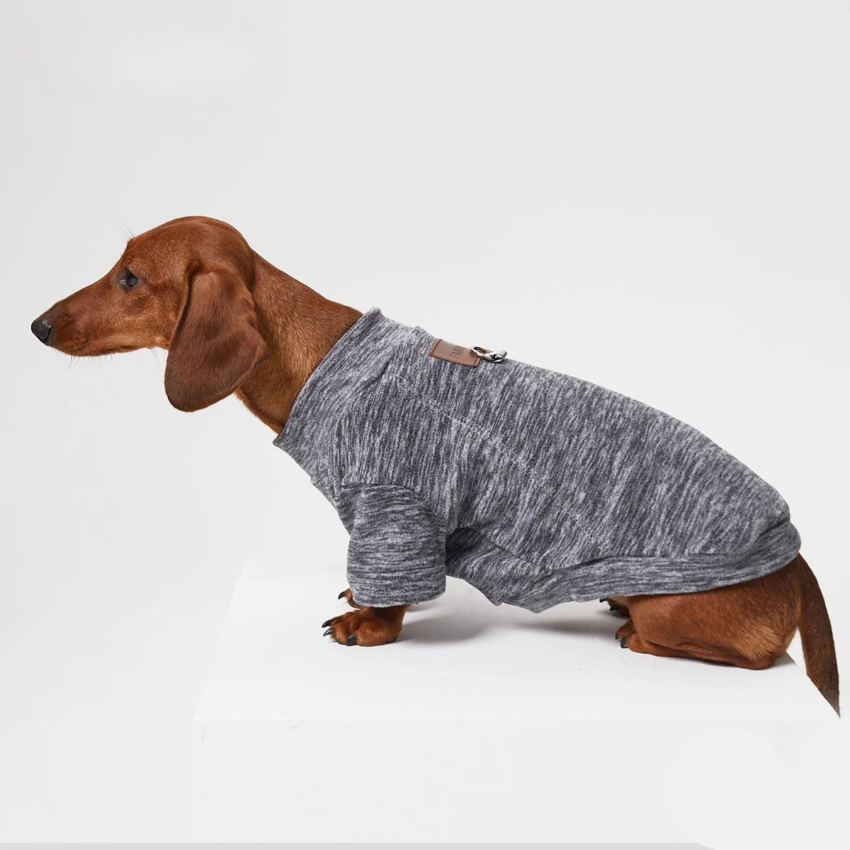 Fleece-Lined Solid Color T-Shirt for Dachshund
