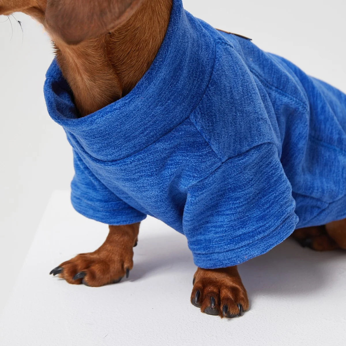 Fleece-Lined Solid Color T-Shirt for Dachshund