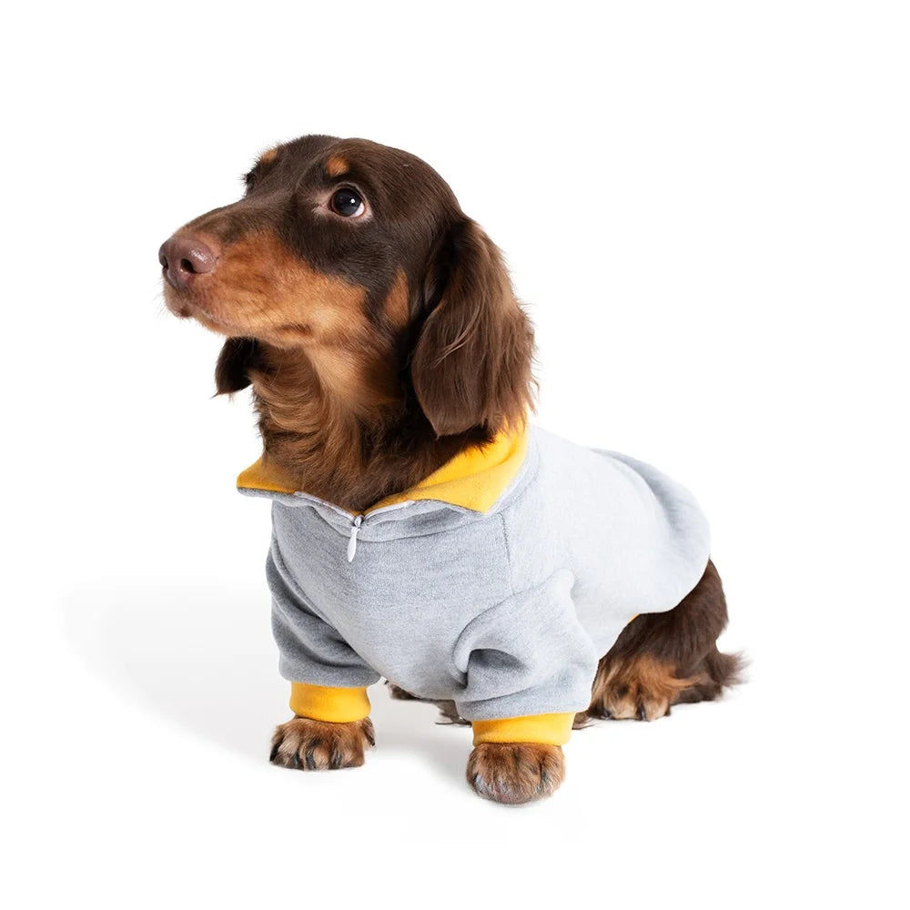 High-Stretch Polo Sweatshirt for Dachshunds