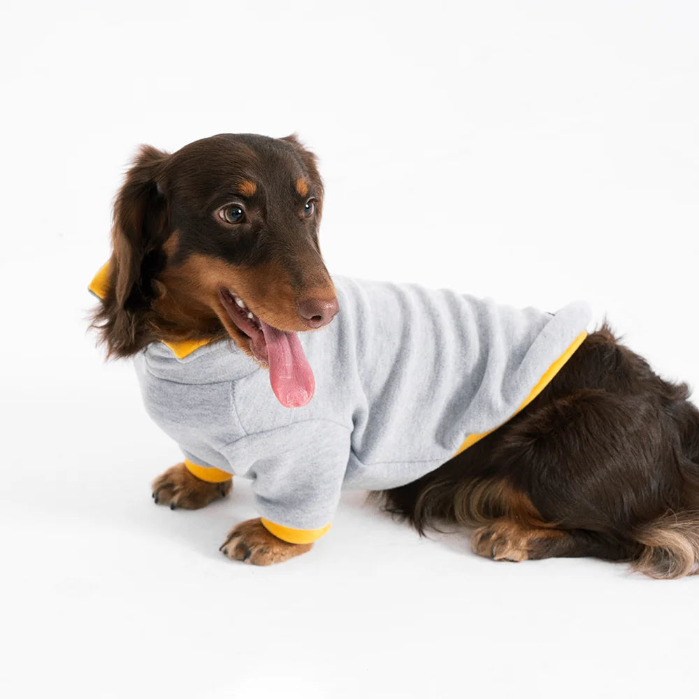 High-Stretch Polo Sweatshirt for Dachshunds