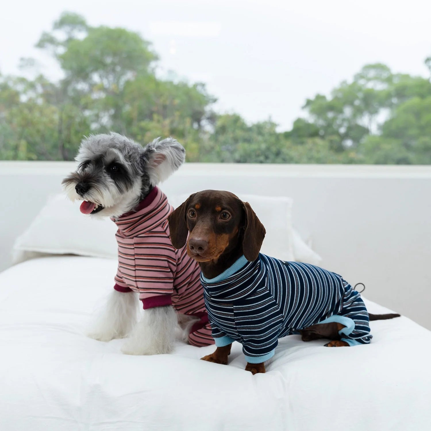 High-Stretch Striped Four-Leg Onesie for Dachshunds