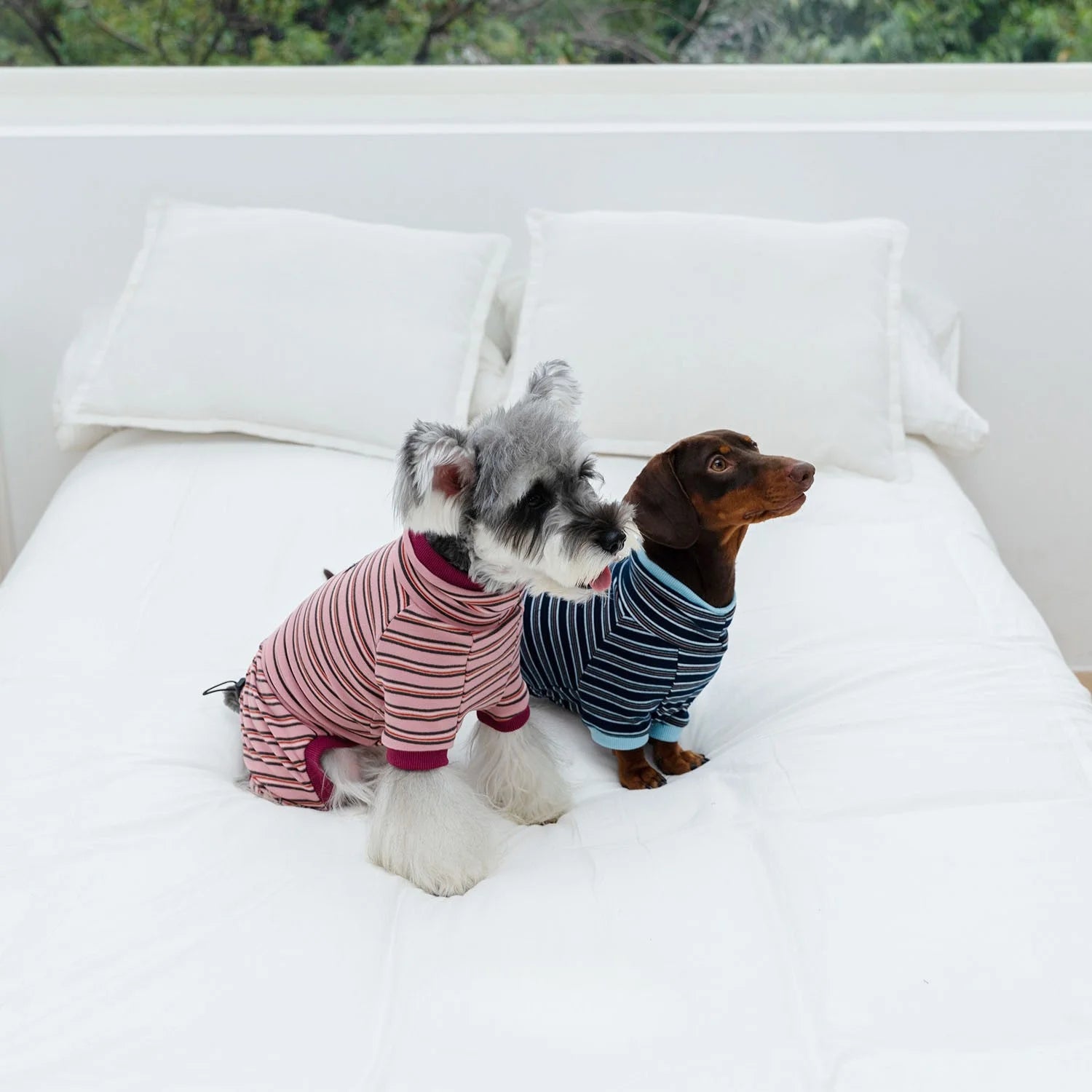 High-Stretch Striped Four-Leg Onesie for Dachshunds