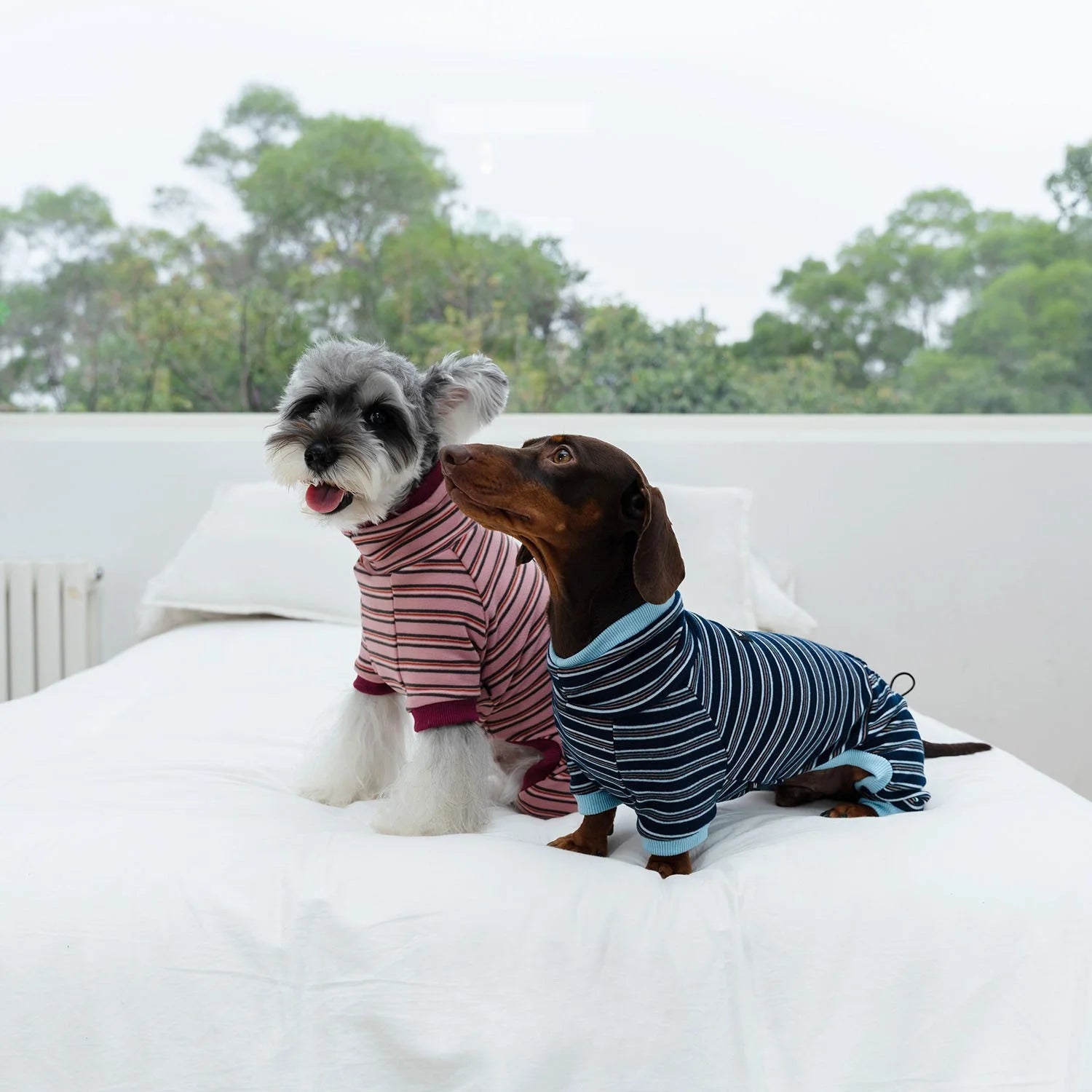 High-Stretch Striped Four-Leg Onesie for Dachshunds