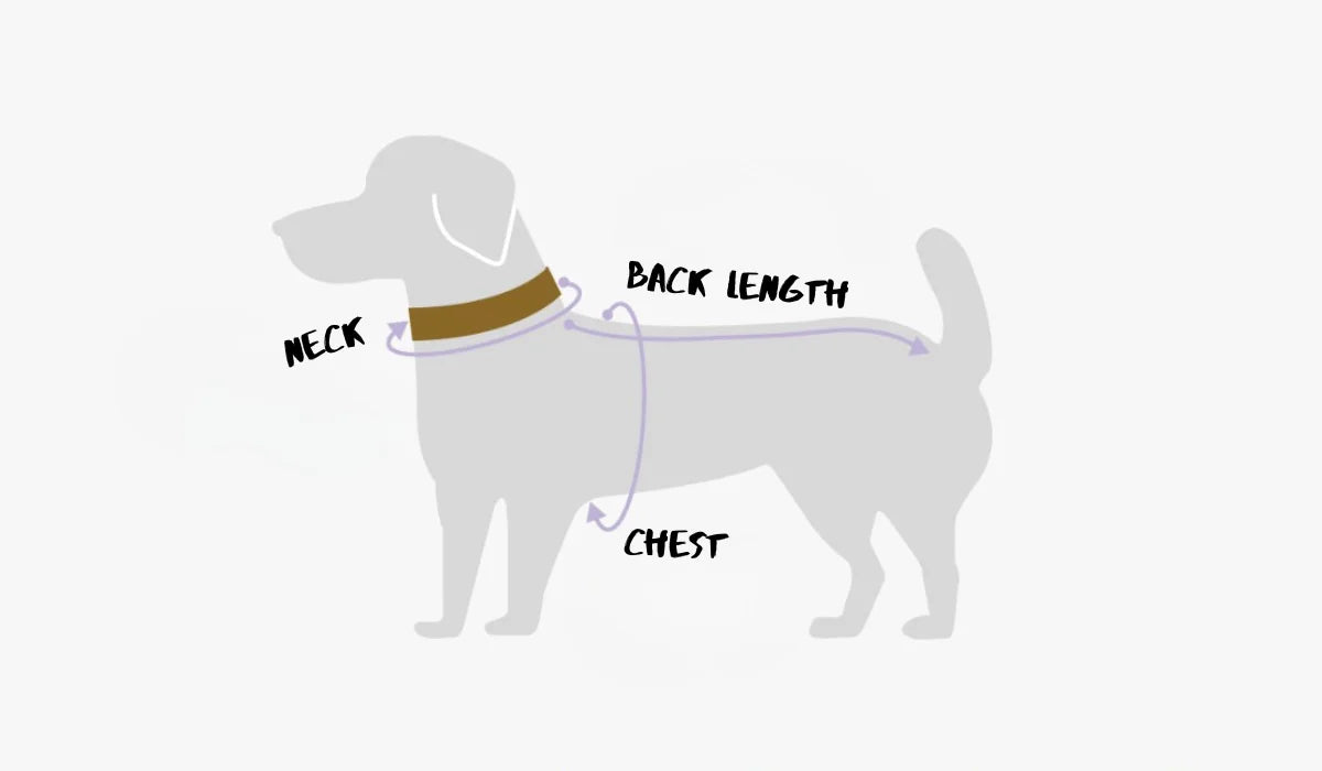 How to measure